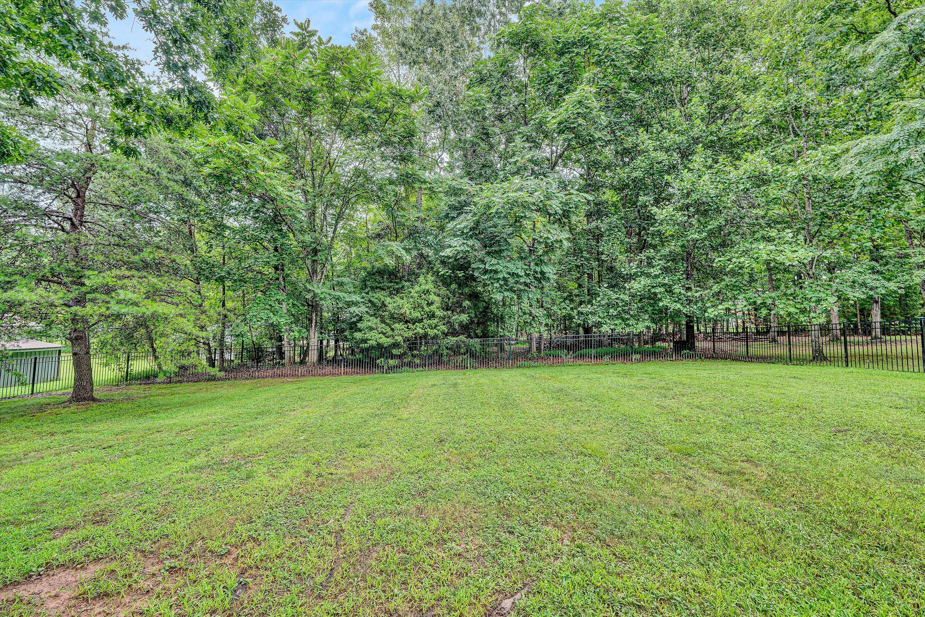 5935 Scruggs Road Moneta, VA 24121 - Photo 29 of 37 a view of a grassy field with trees