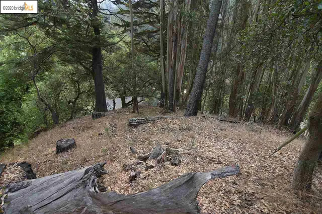 $79,000 | 6050 Balboa Drive, Oakland, CA 94611