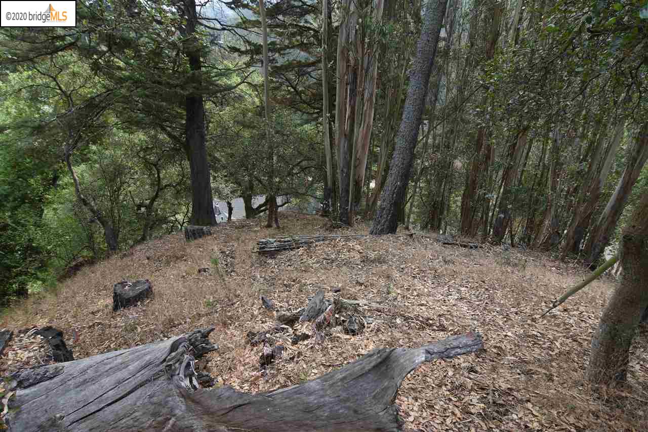 6050 Balboa Drive Oakland, CA 94611 - Photo 3 of 6