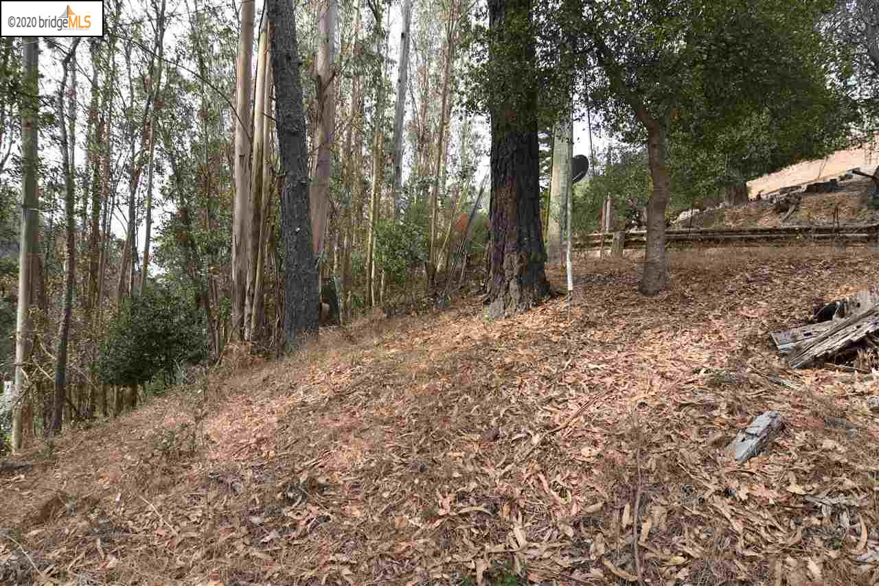 6050 Balboa Drive Oakland, CA 94611 - Photo 4 of 6