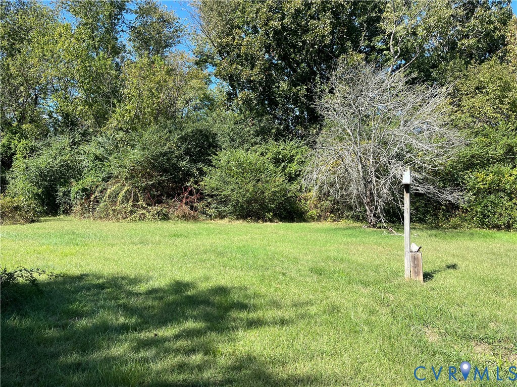 6394 Cross County Road Mineral, VA 23117 - Photo 2 of 4 a backyard of a house with lots of green space