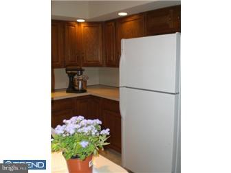 328 Nutt Road Phoenixville, PA 19460 - Photo 6 of 12 Kitchen