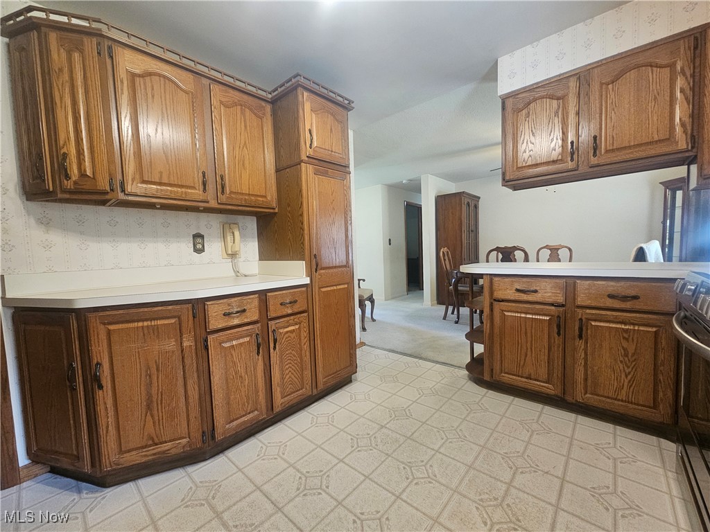 12120 Girdled Road Painesville, OH 44077 - Photo 9 of 33 Gallery Image 9