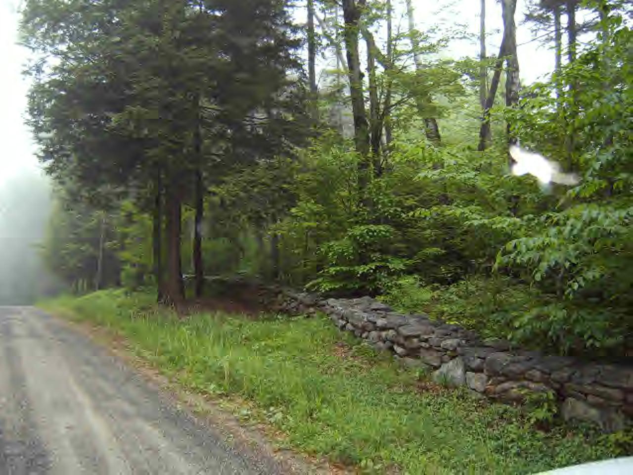 141 Plumb Road Becket, MA 01223 - Photo 8 of 10 a big yard with lots of green space and house