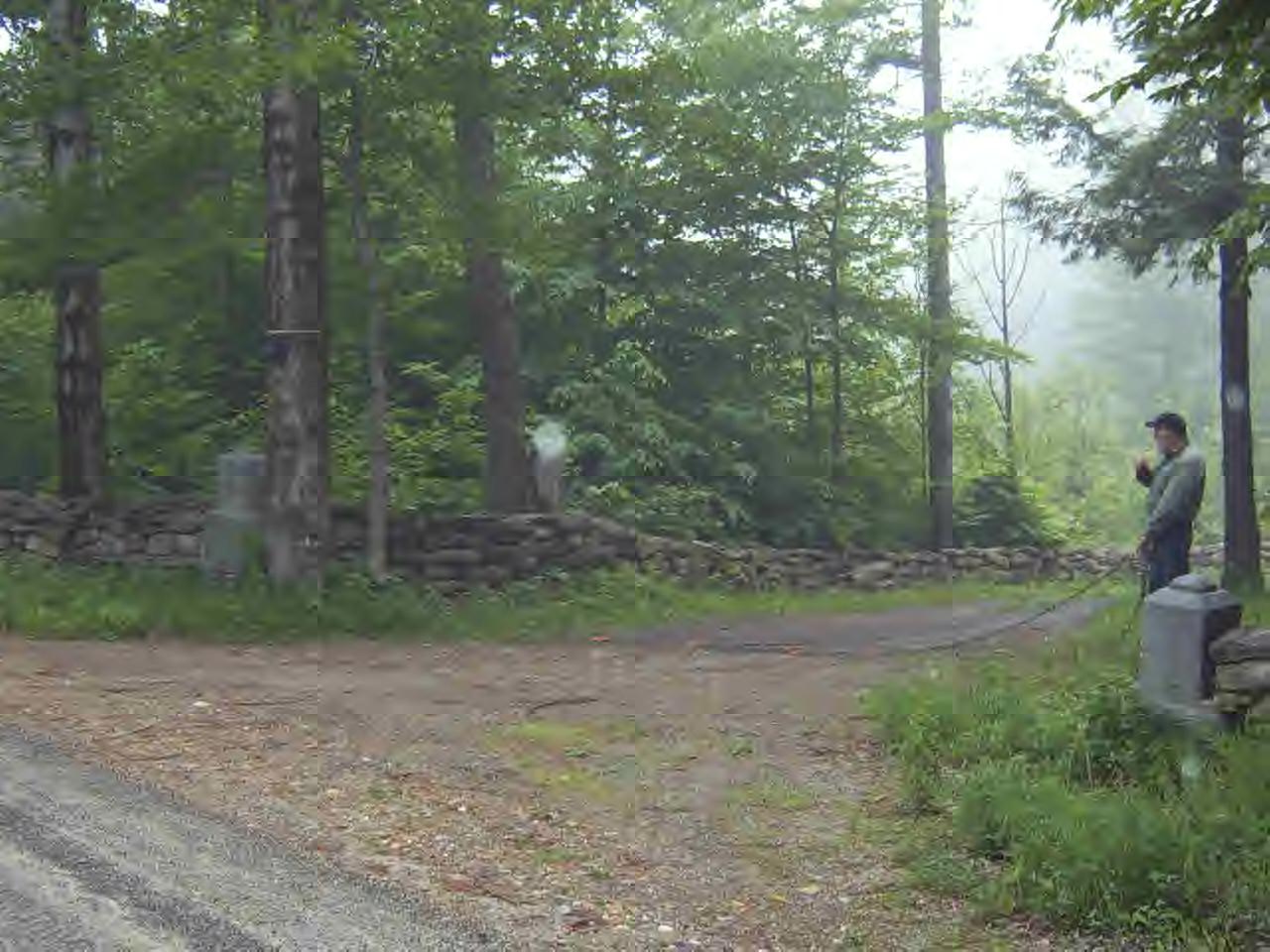 141 Plumb Road Becket, MA 01223 - Photo 9 of 10 a view of a forest with trees