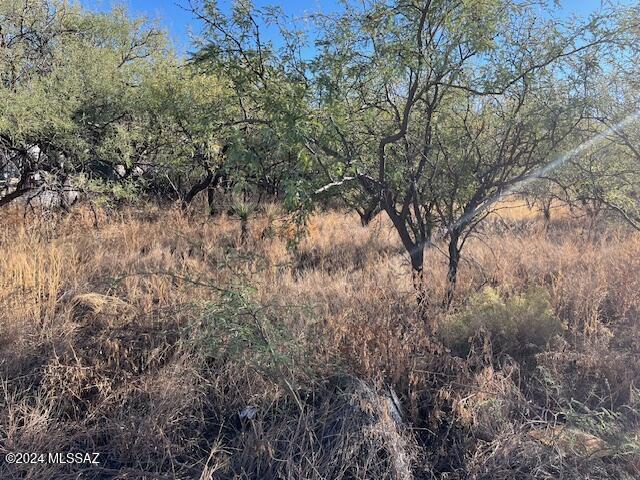 3150 West Rice Road Benson, AZ 85602 - Photo 7 of 7