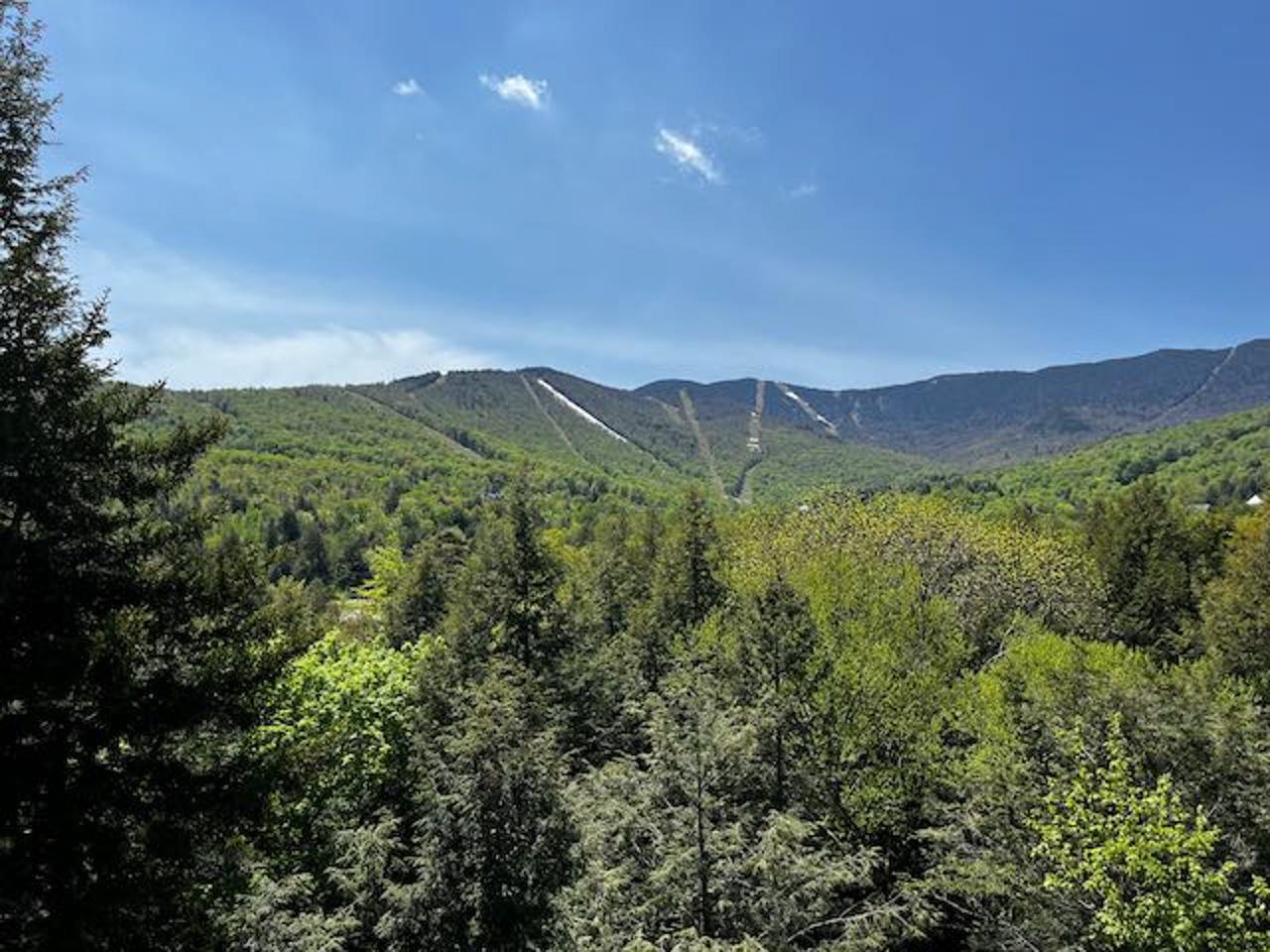 85 Upper Phase Road, Unit 85 Warren, VT 05674 - Photo 27 of 35