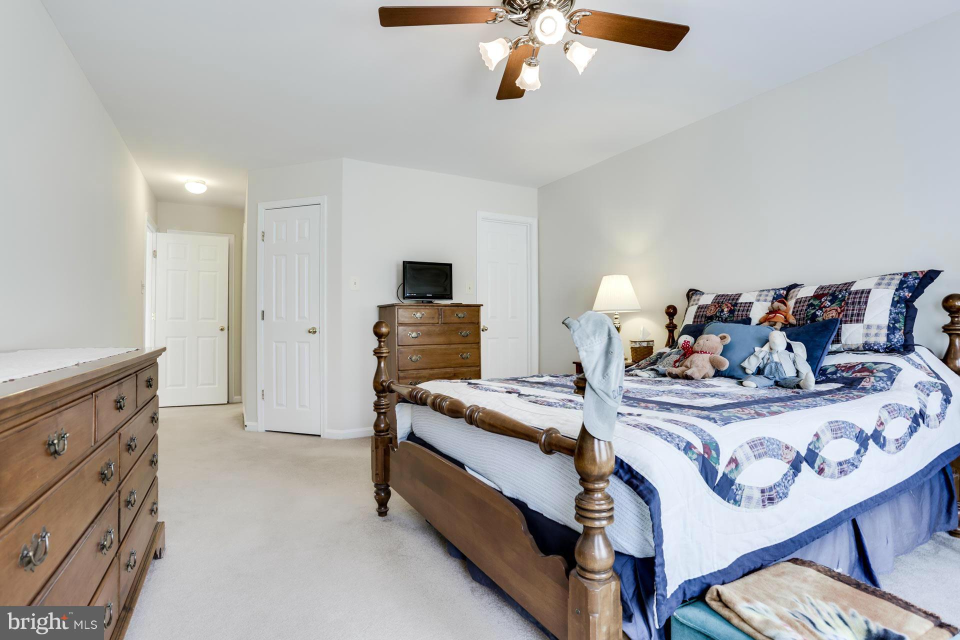 9494 Ridgeview Drive Columbia, MD 21046 - Photo 15 of 25 Bedroom (Master)
