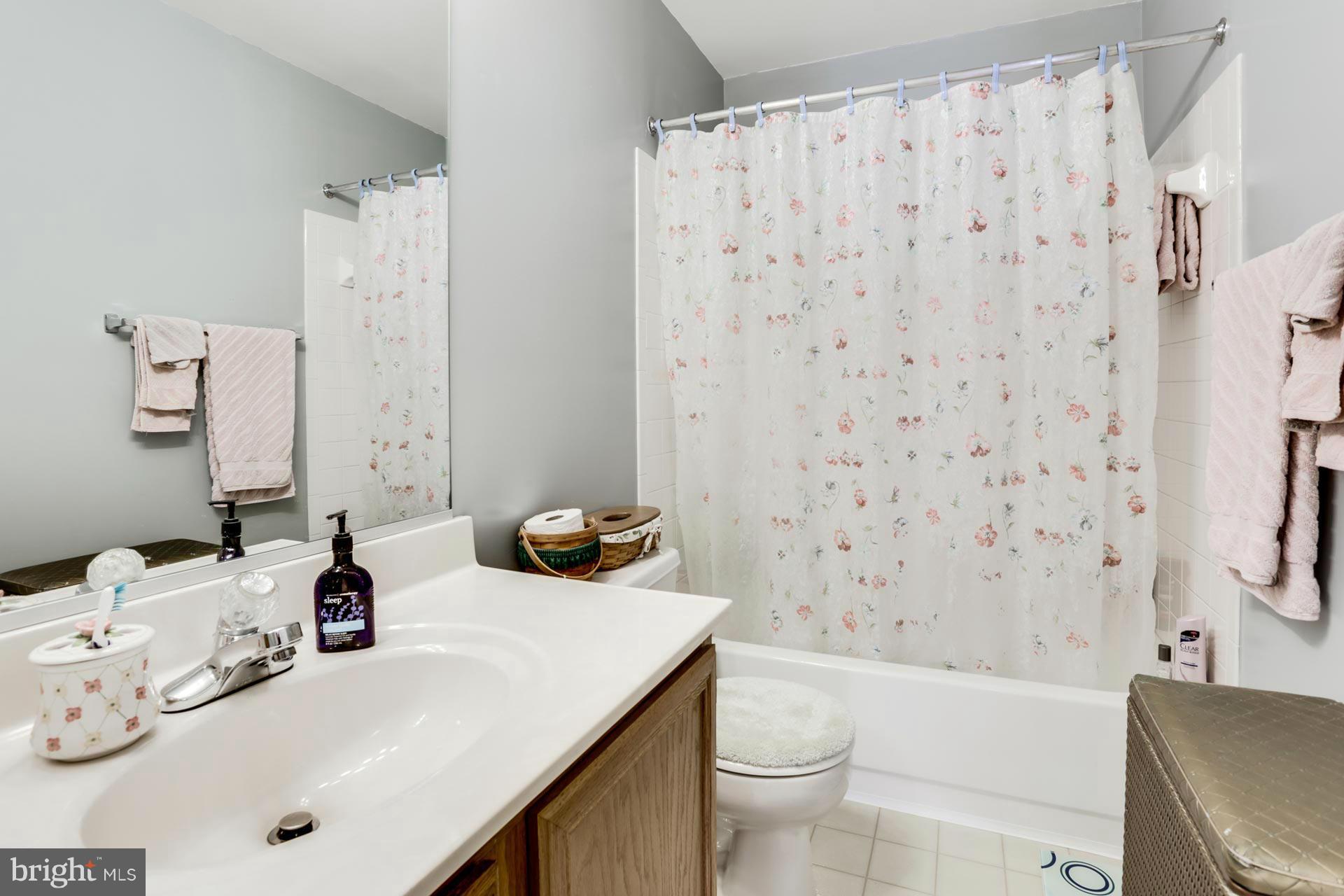 9494 Ridgeview Drive Columbia, MD 21046 - Photo 16 of 25 Bath (Master)