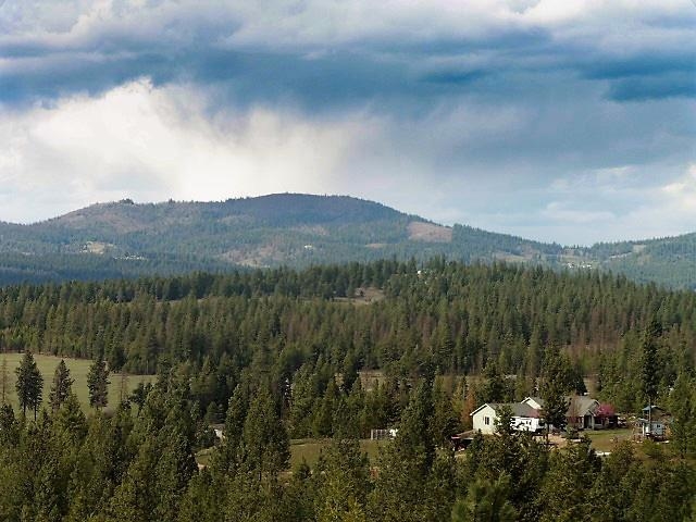 11920 East Blanchard Road Elk, WA 99009 - Photo 31 of 35 Gallery Image 31