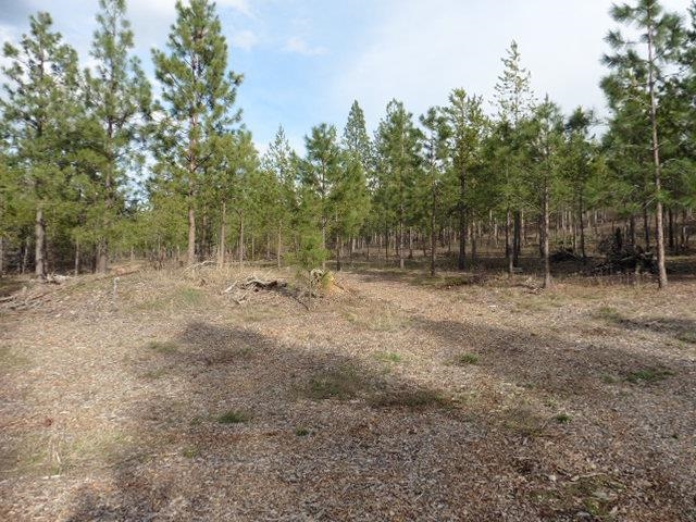 11920 East Blanchard Road Elk, WA 99009 - Photo 35 of 35 Gallery Image 35