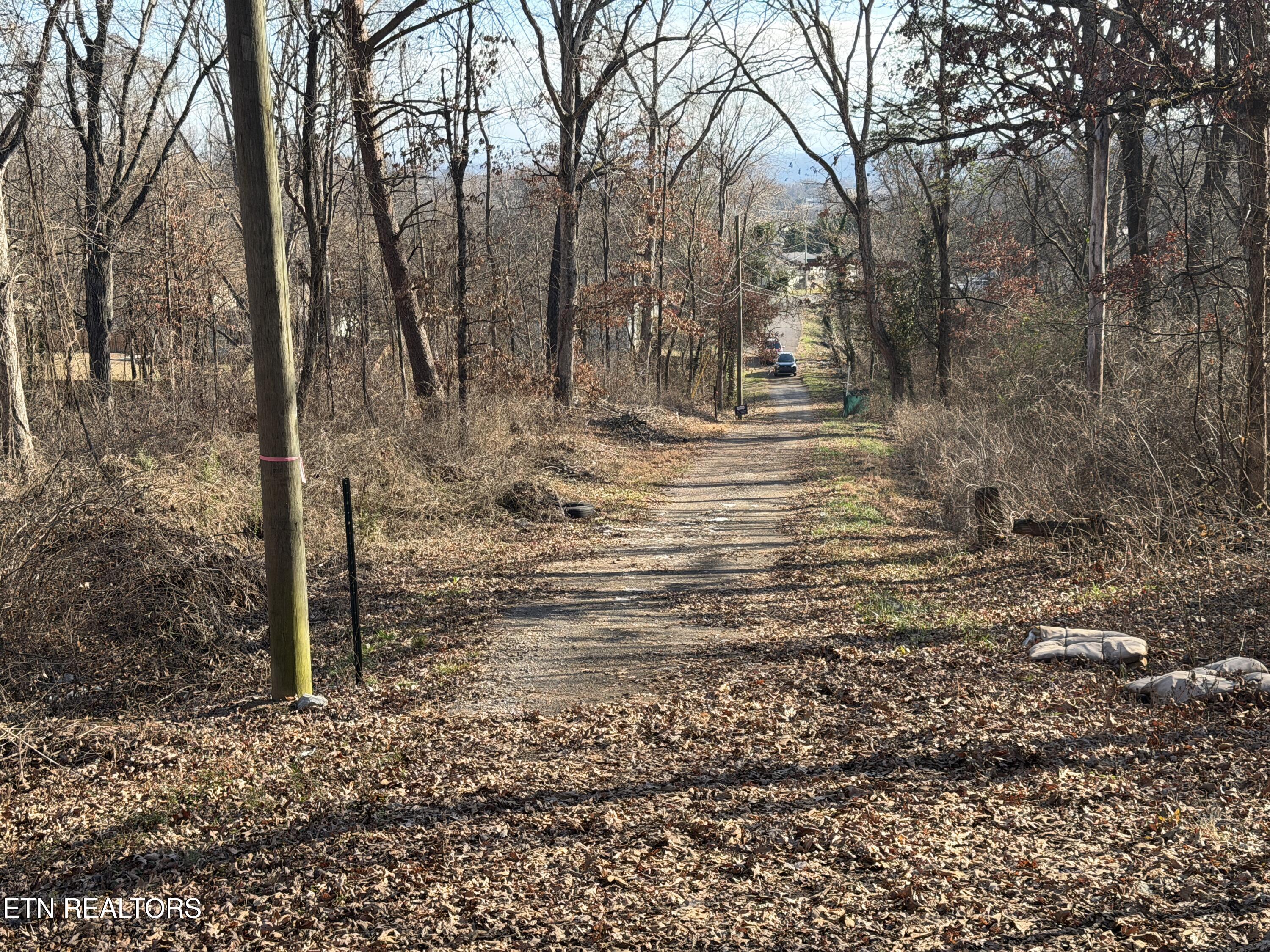 3436 Divide Street Knoxville, TN 37921 - Photo 11 of 23 IMG_0766