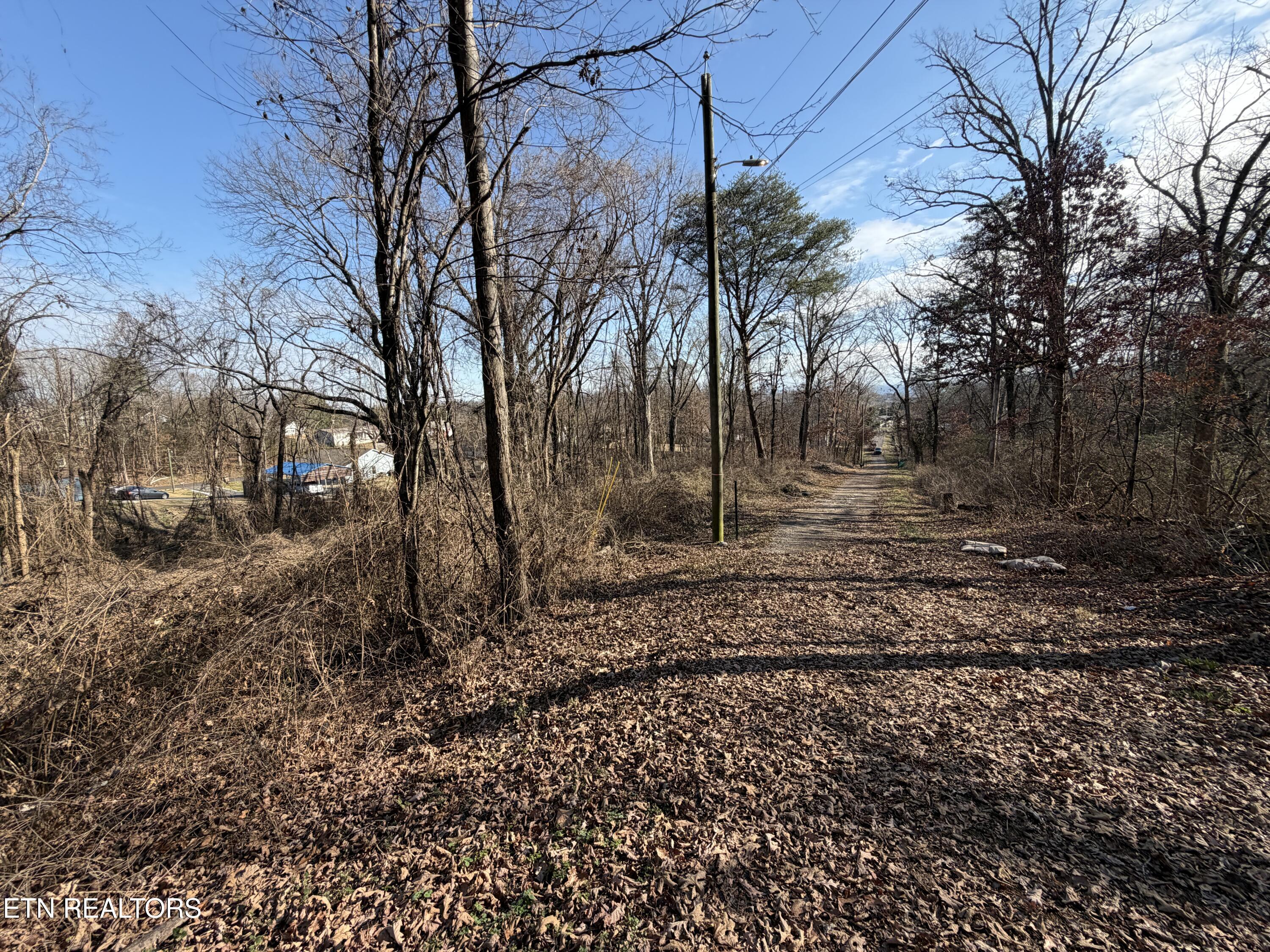 3436 Divide Street Knoxville, TN 37921 - Photo 12 of 23 IMG_0765