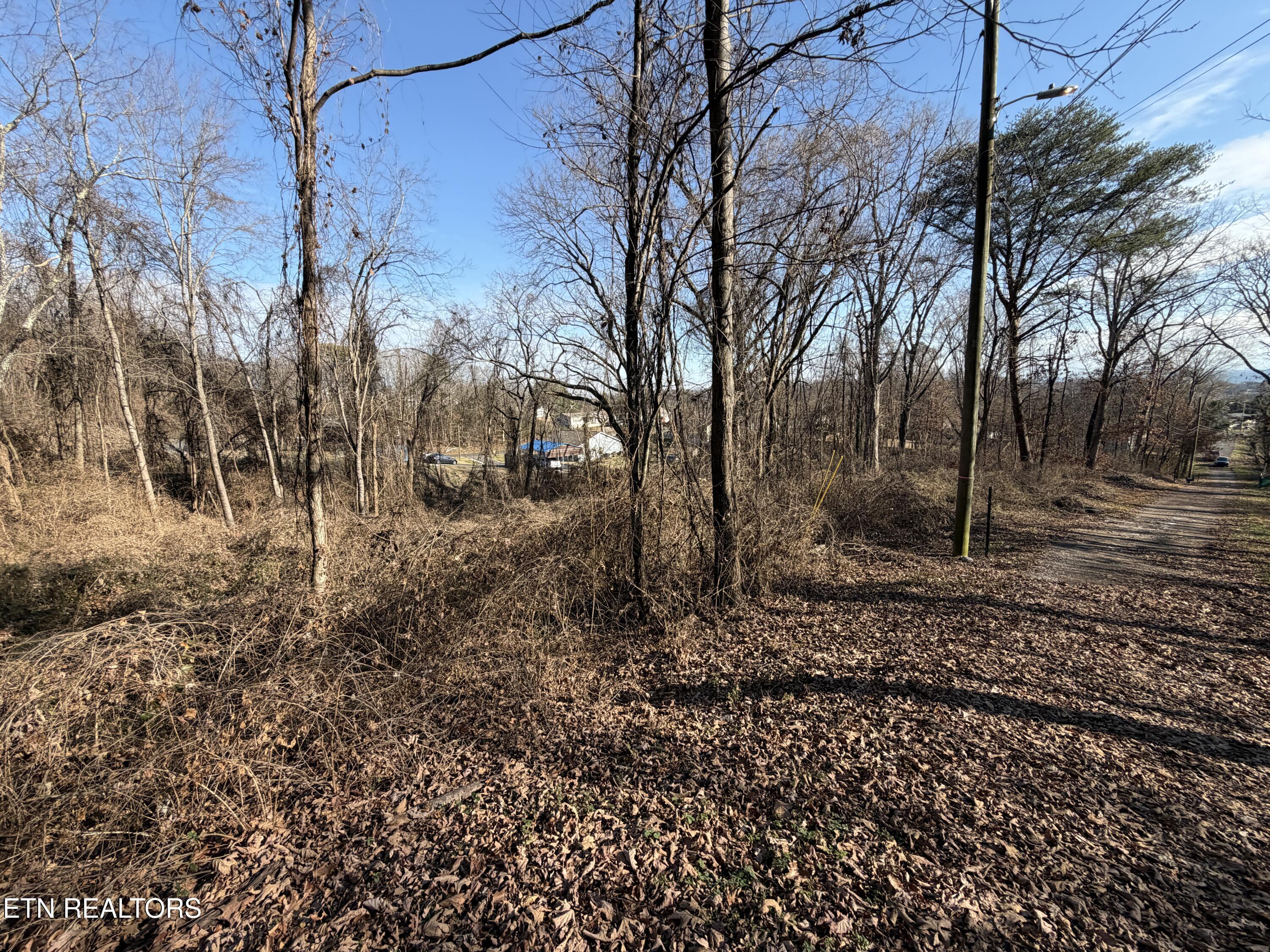 3436 Divide Street Knoxville, TN 37921 - Photo 13 of 23 IMG_0764