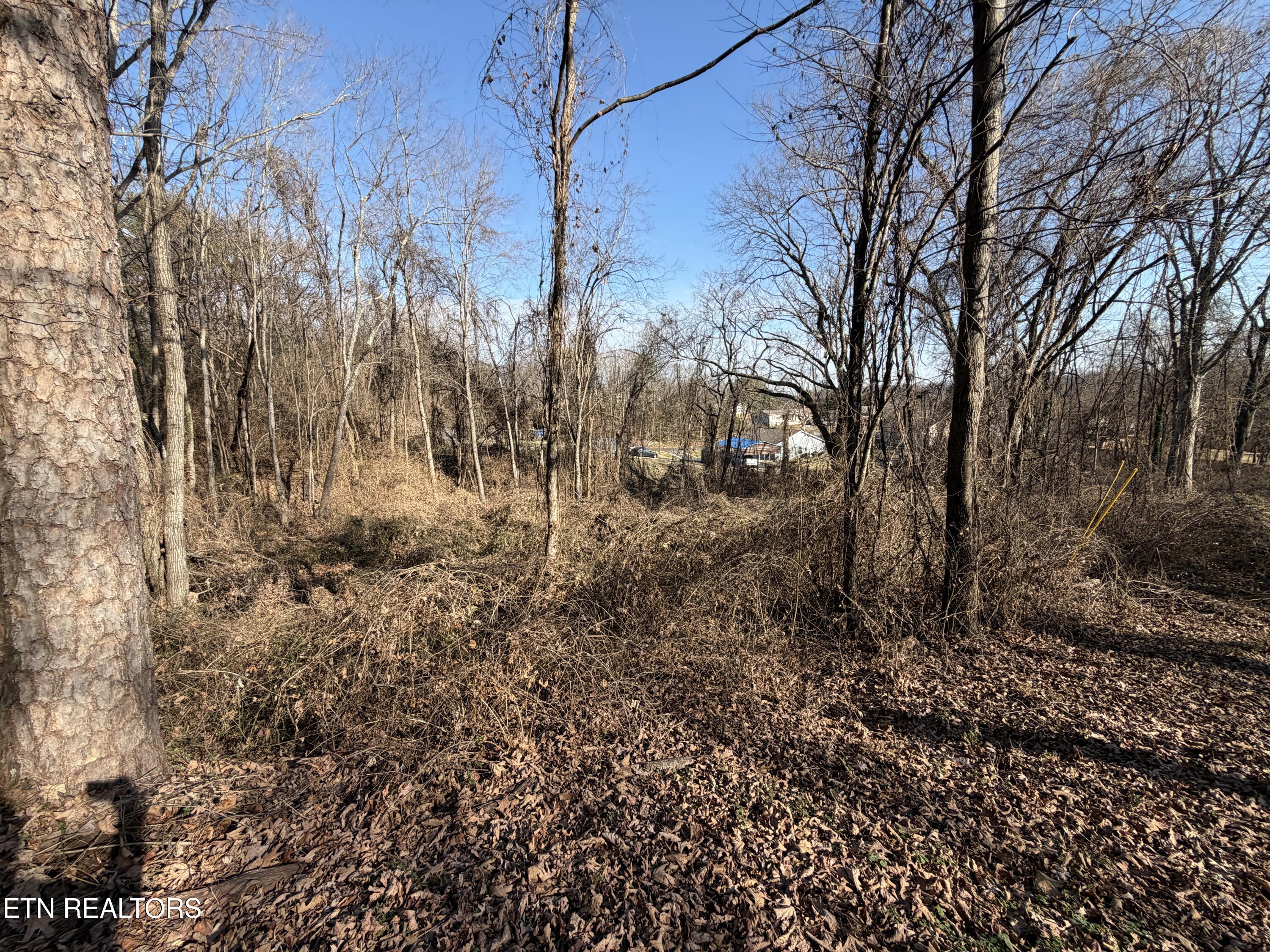 3436 Divide Street Knoxville, TN 37921 - Photo 14 of 23 IMG_0763