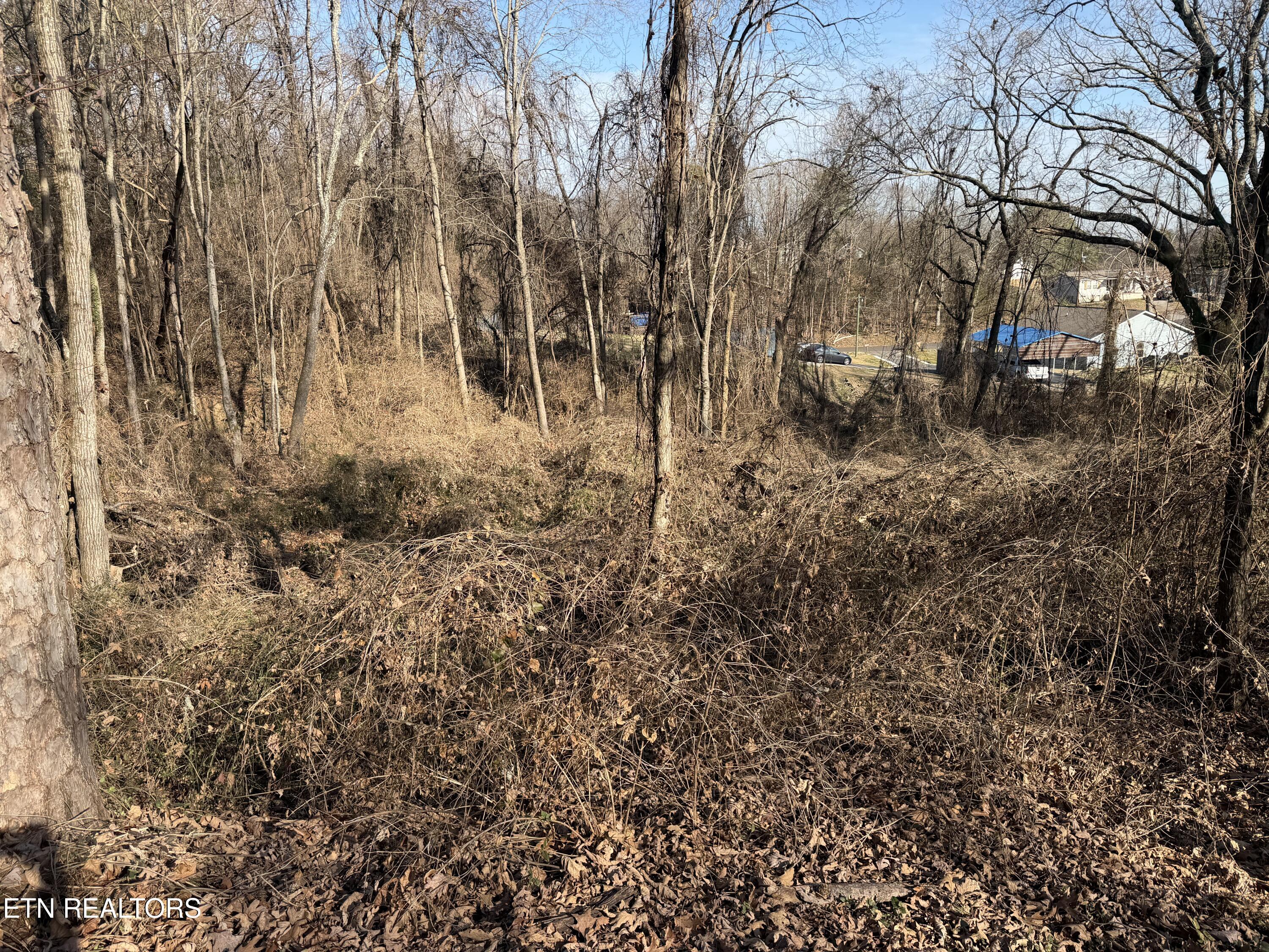 3436 Divide Street Knoxville, TN 37921 - Photo 15 of 23 IMG_0762