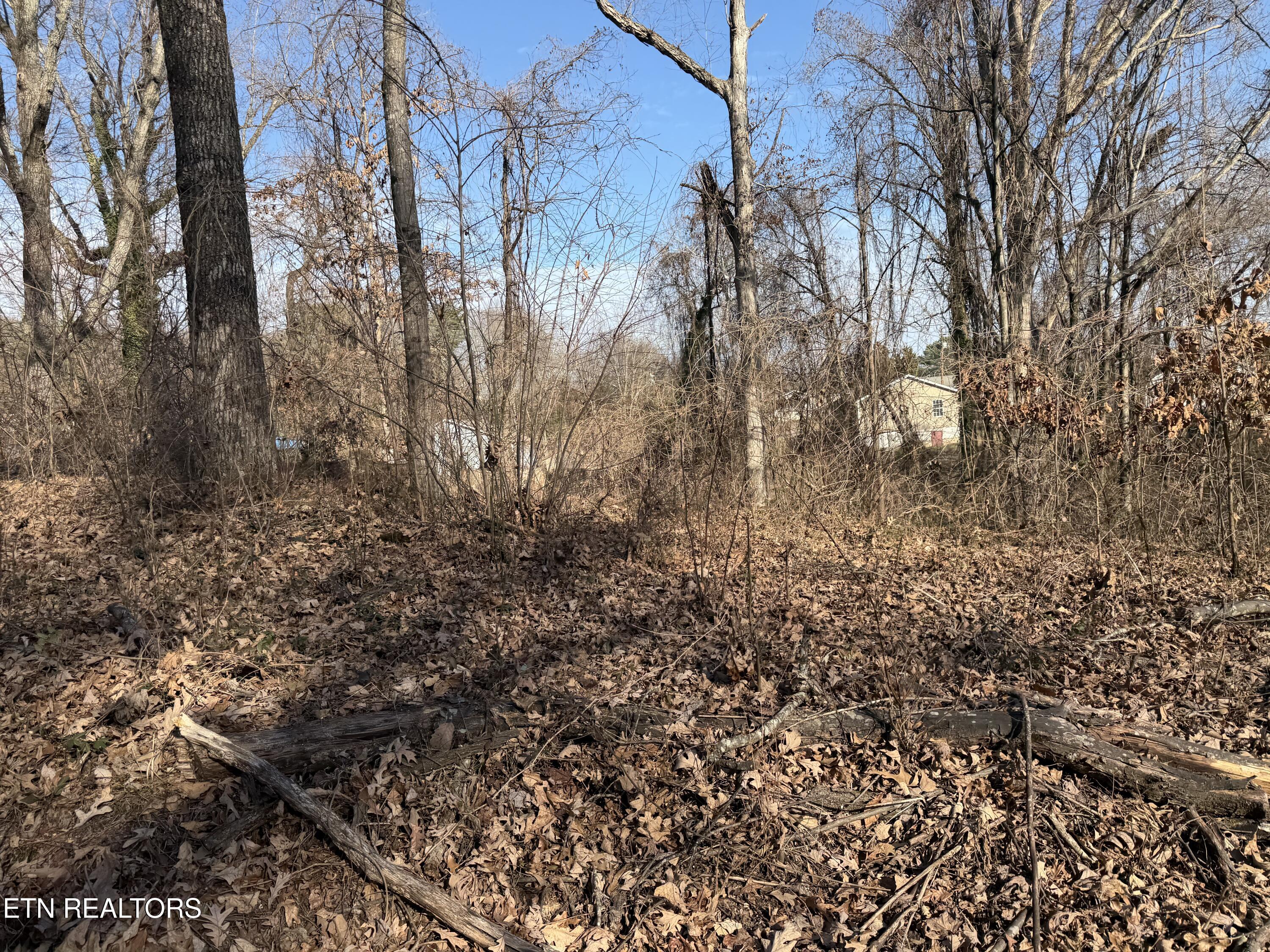 3436 Divide Street Knoxville, TN 37921 - Photo 17 of 23 IMG_0759