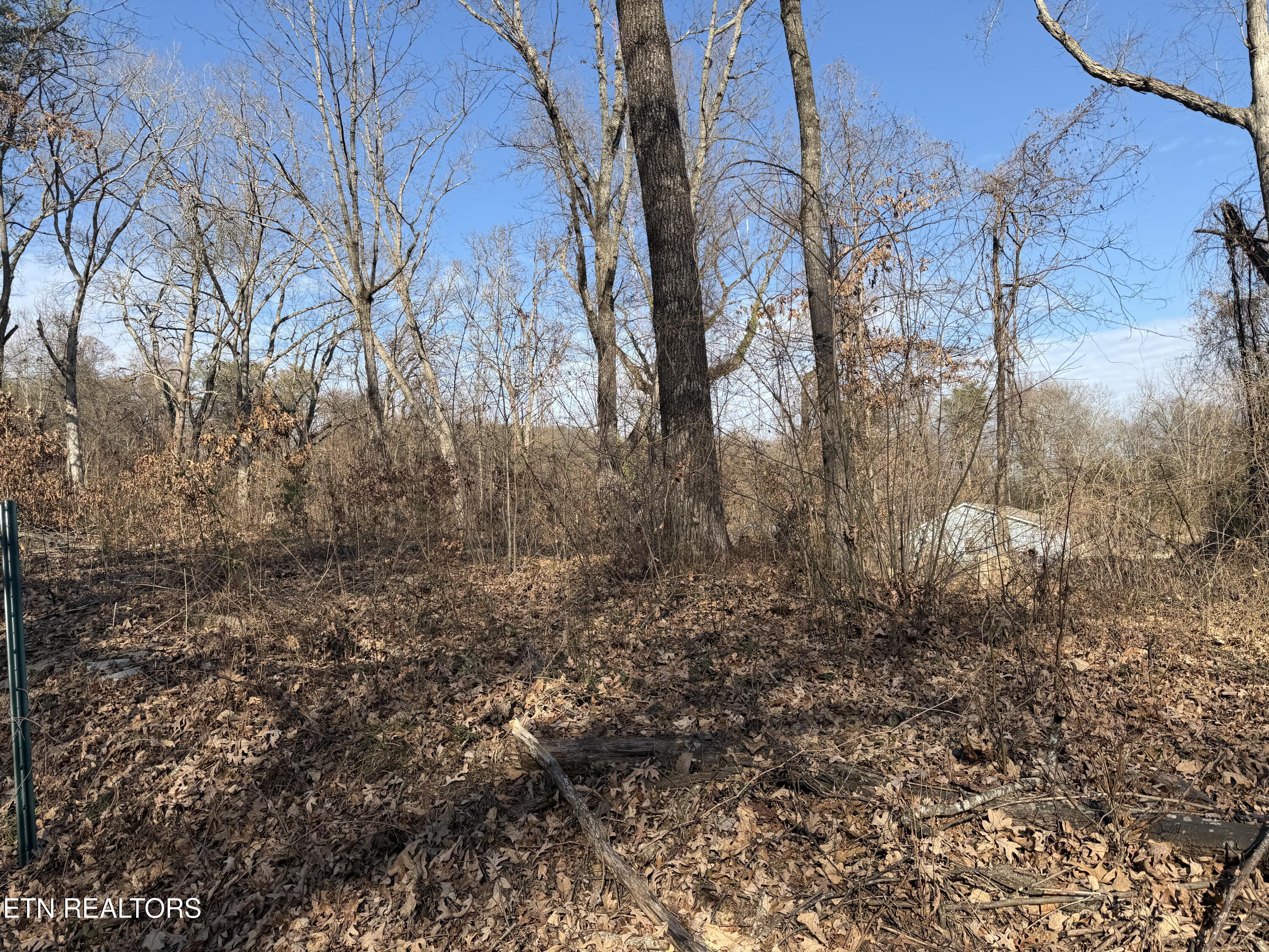 3436 Divide Street Knoxville, TN 37921 - Photo 18 of 23 IMG_0758