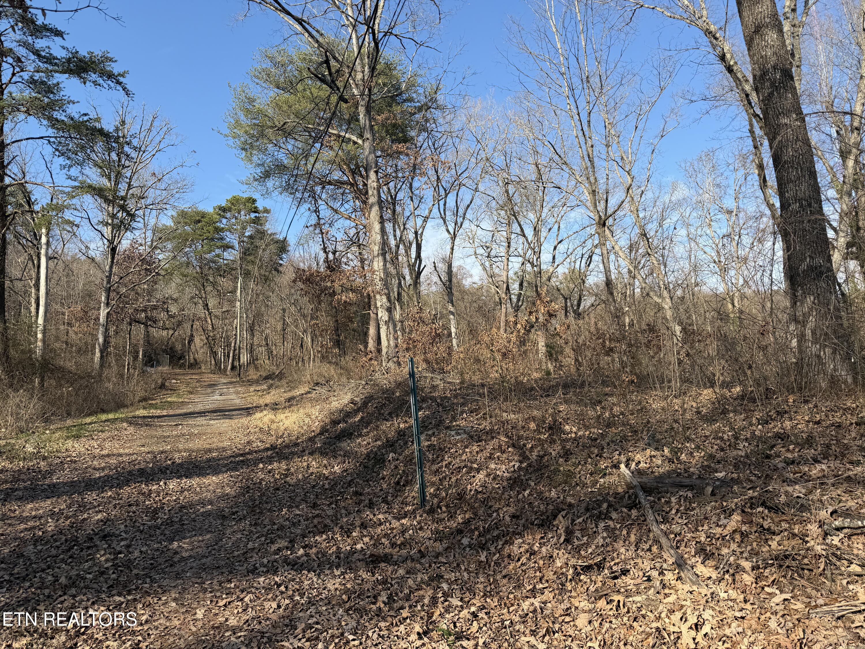 3436 Divide Street Knoxville, TN 37921 - Photo 19 of 23 IMG_0757