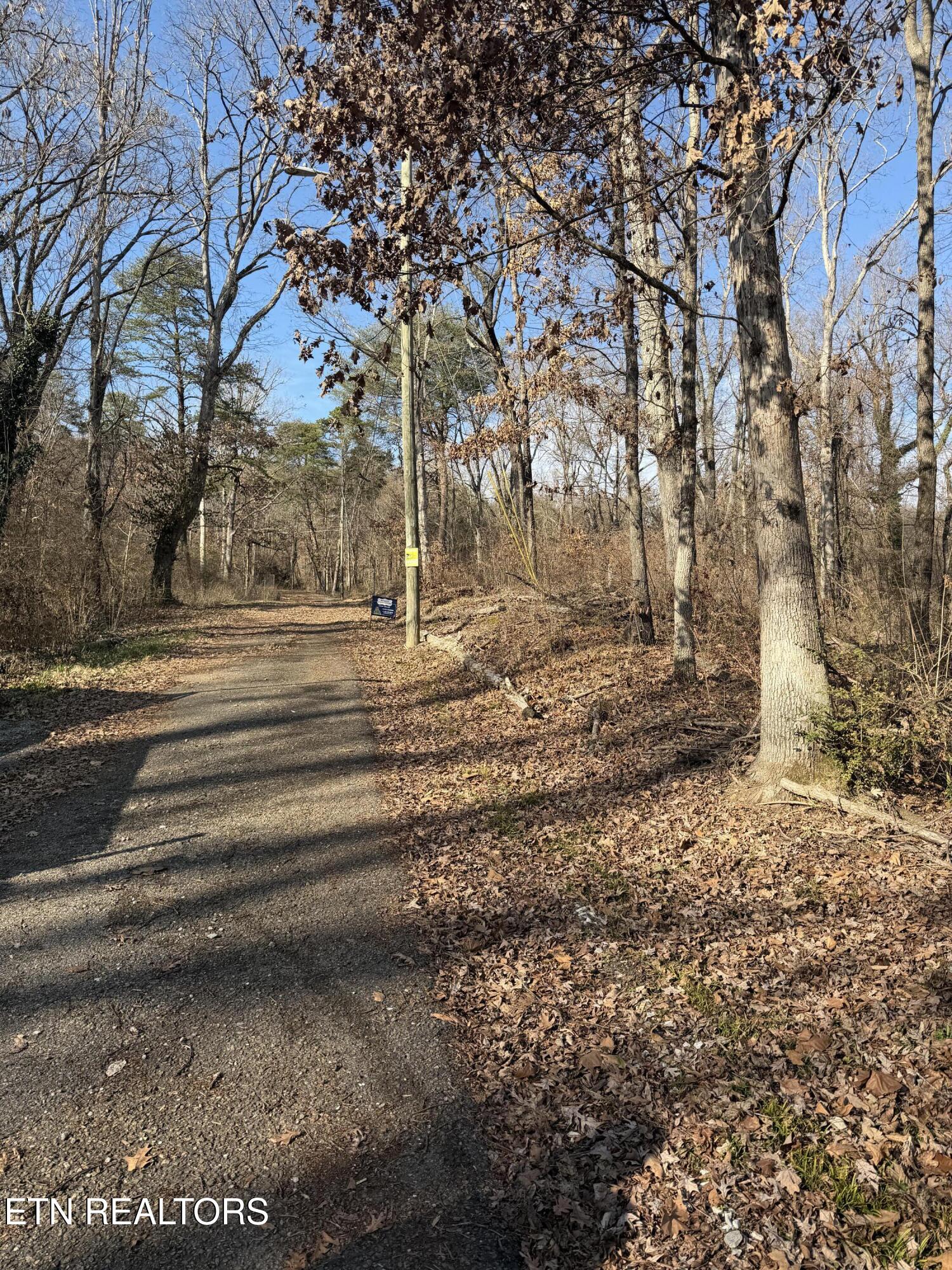 3436 Divide Street Knoxville, TN 37921 - Photo 20 of 23 IMG_0755