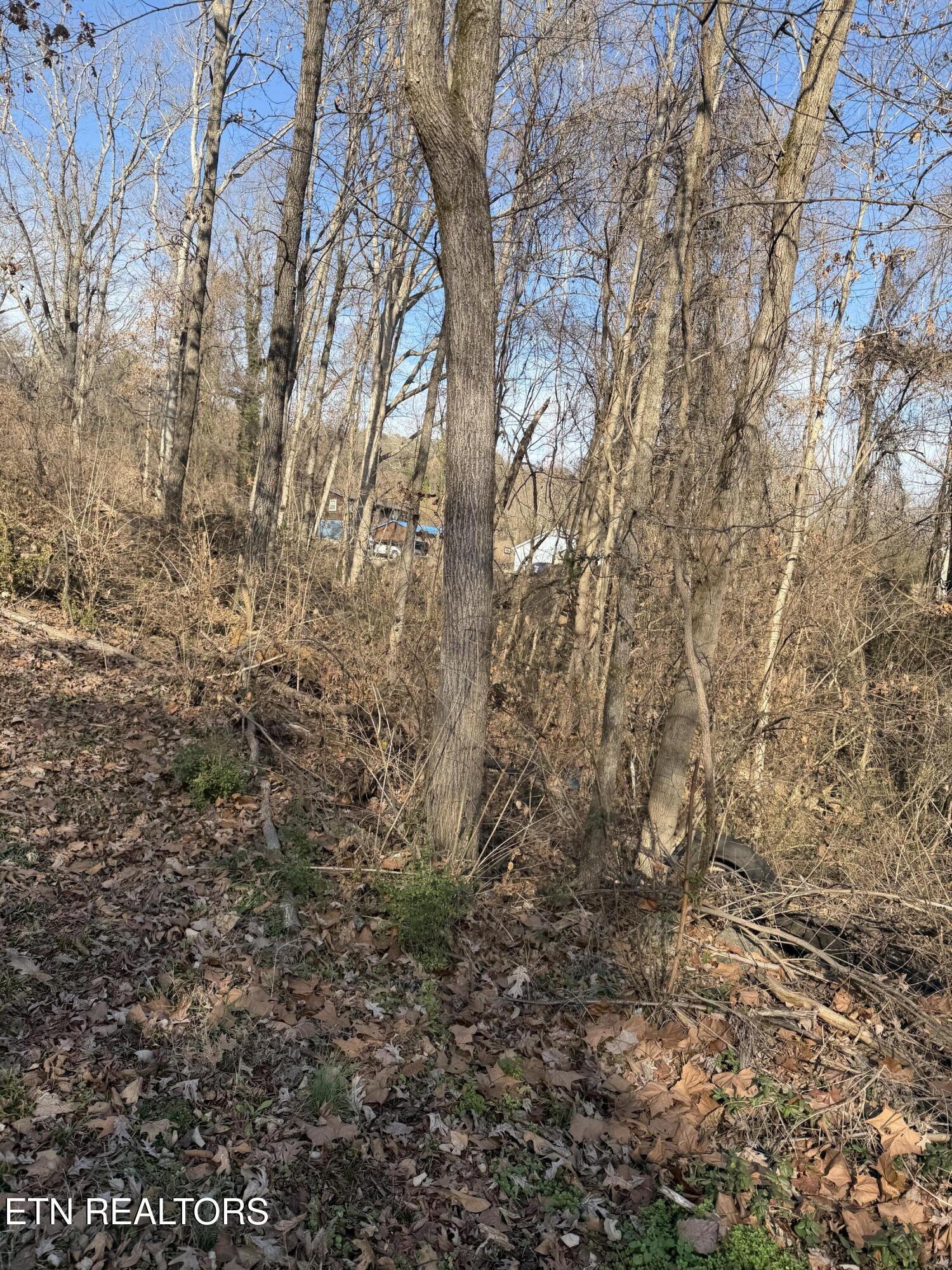 3436 Divide Street Knoxville, TN 37921 - Photo 21 of 23 IMG_0754