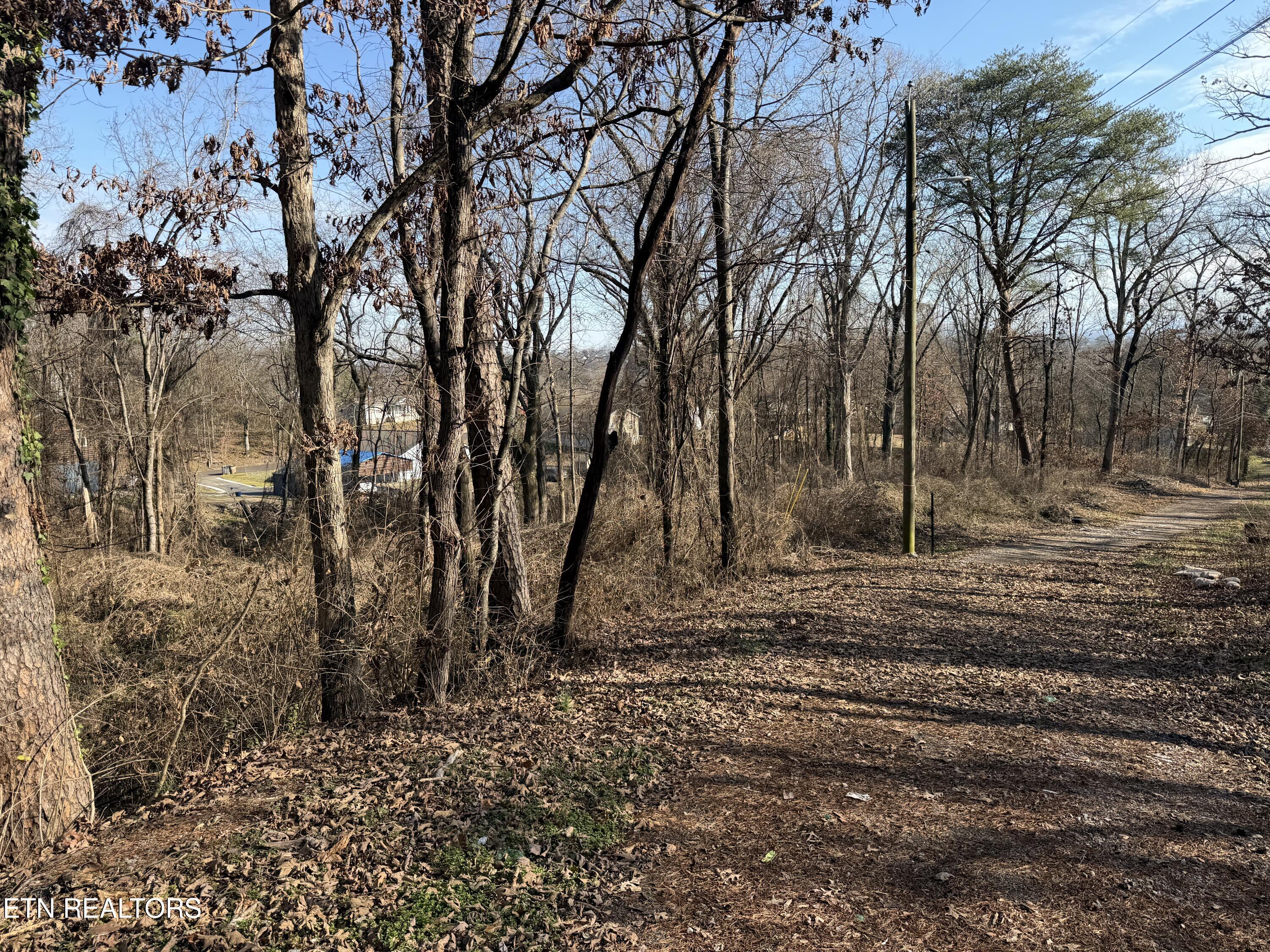 3436 Divide Street Knoxville, TN 37921 - Photo 3 of 23 IMG_0776