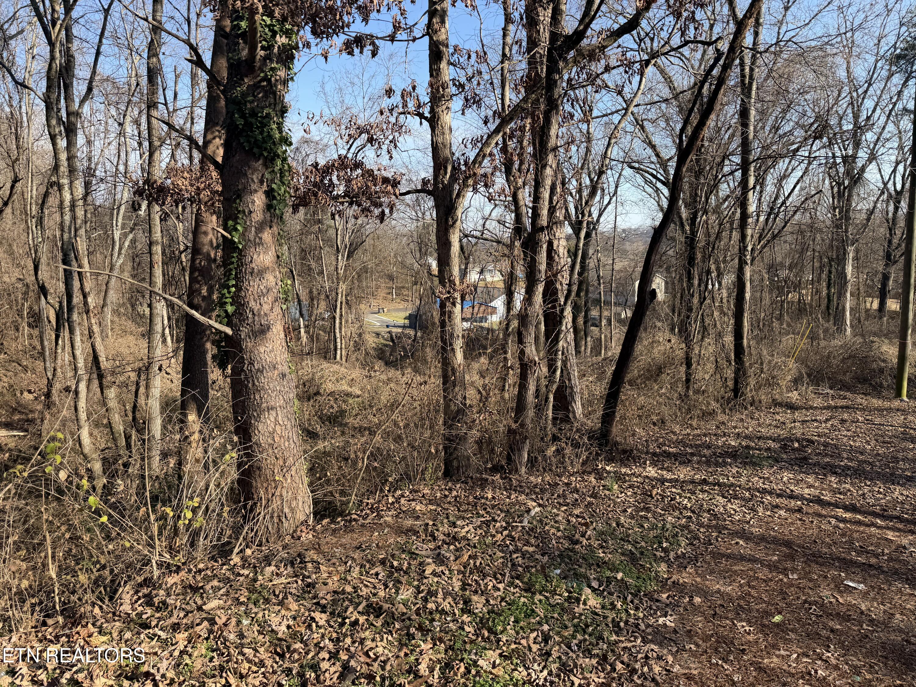 3436 Divide Street Knoxville, TN 37921 - Photo 4 of 23 IMG_0775