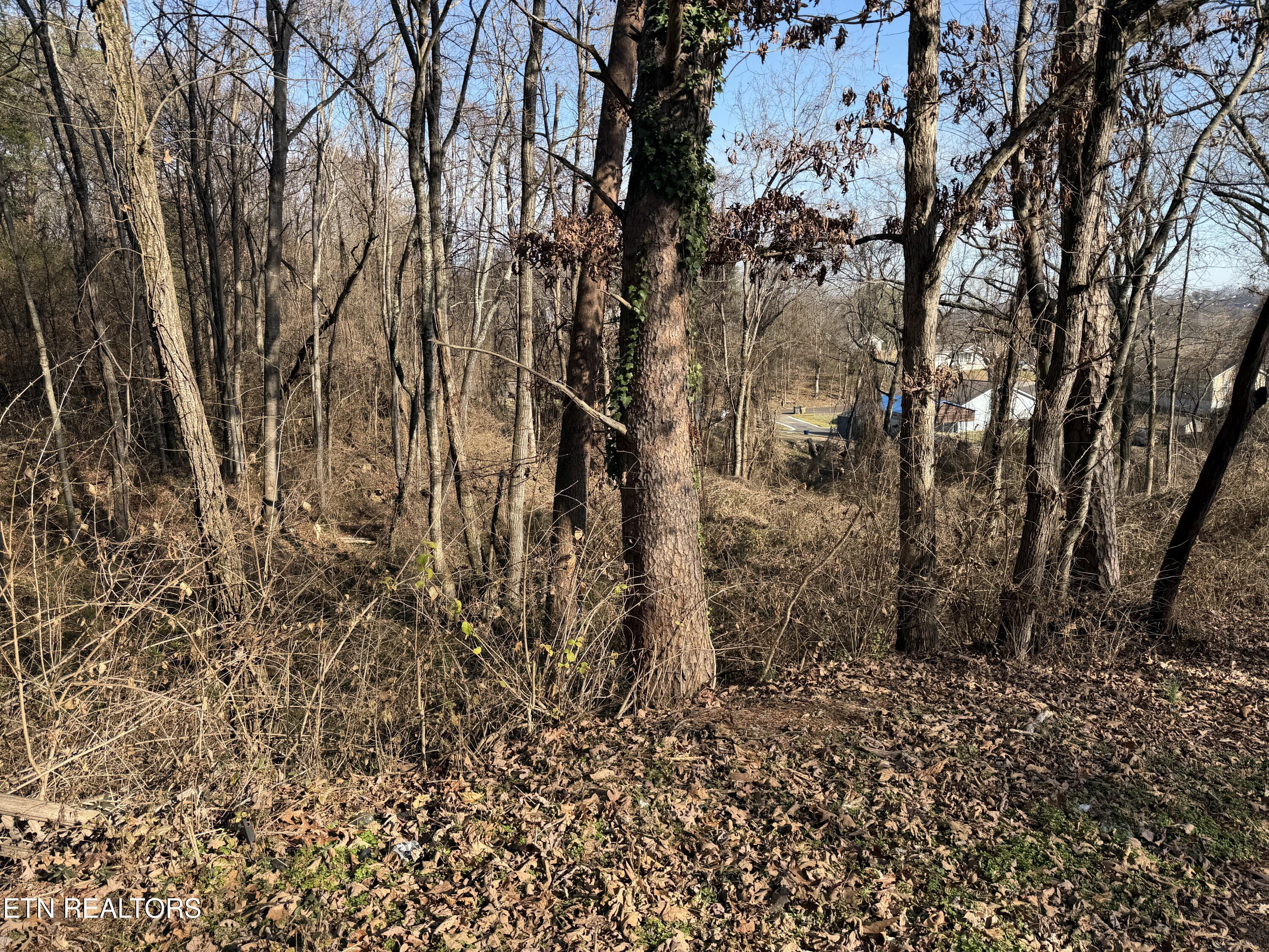 3436 Divide Street Knoxville, TN 37921 - Photo 5 of 23 IMG_0774