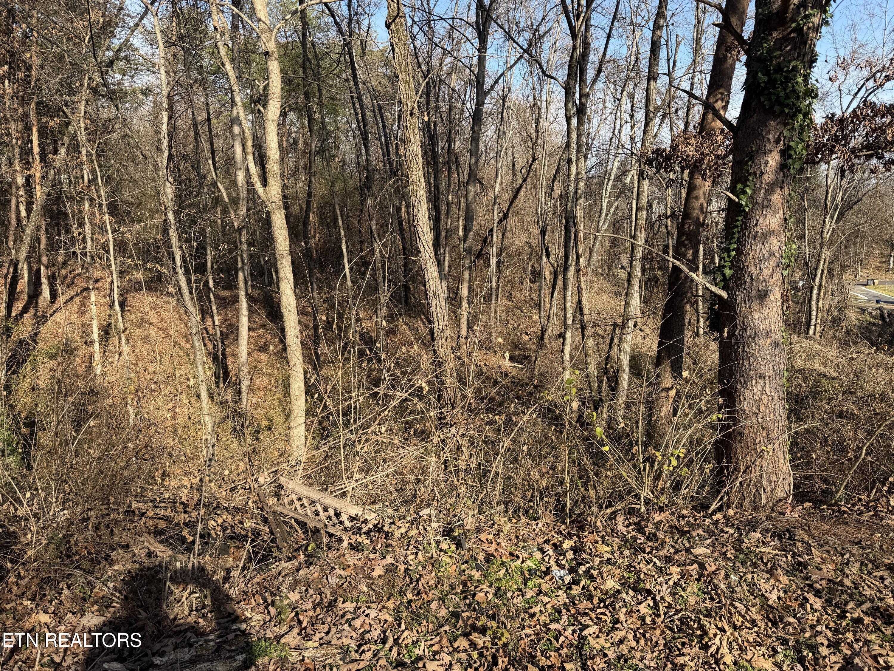 3436 Divide Street Knoxville, TN 37921 - Photo 6 of 23 IMG_0773