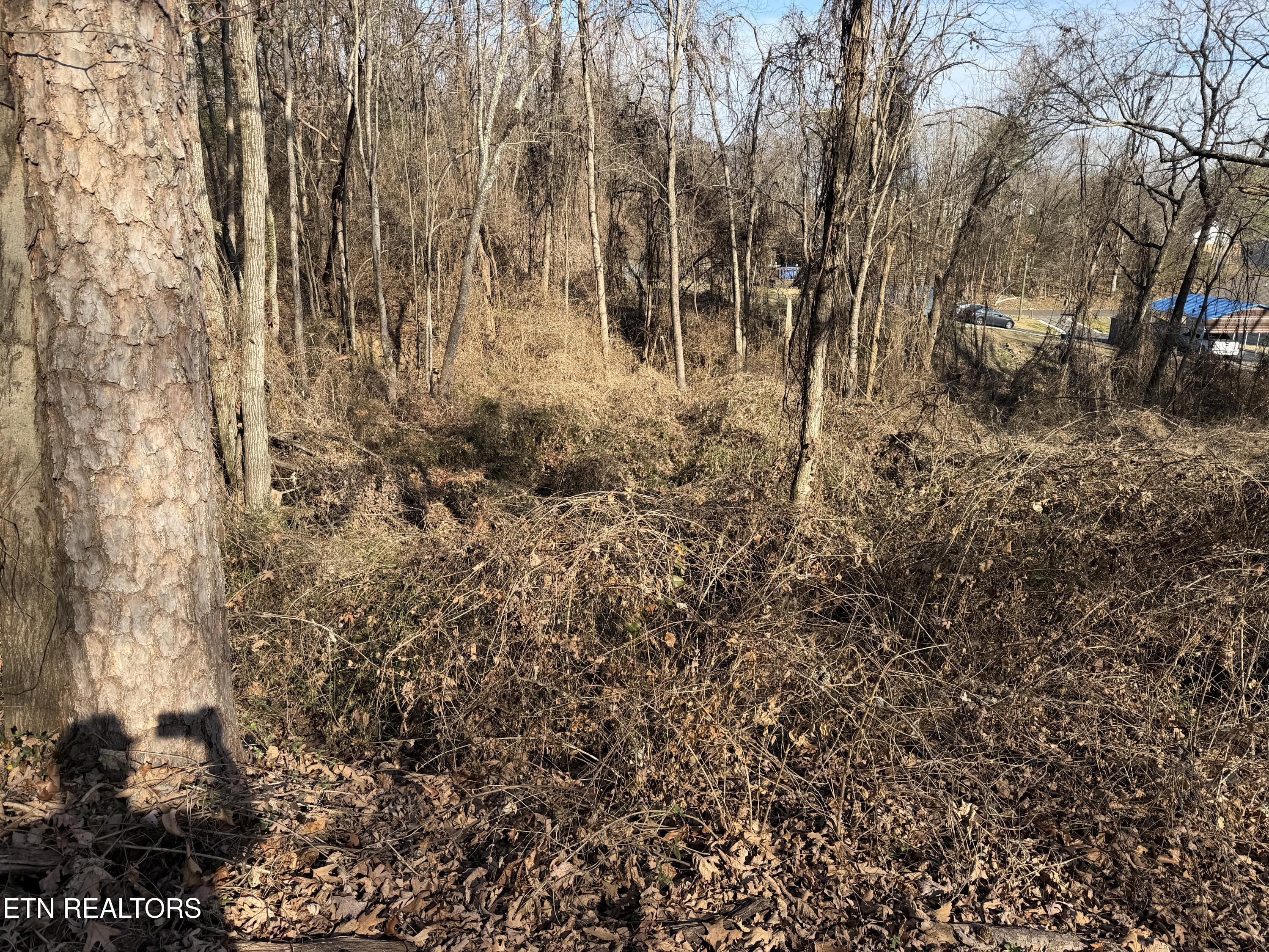 3436 Divide Street Knoxville, TN 37921 - Photo 7 of 23 IMG_0772