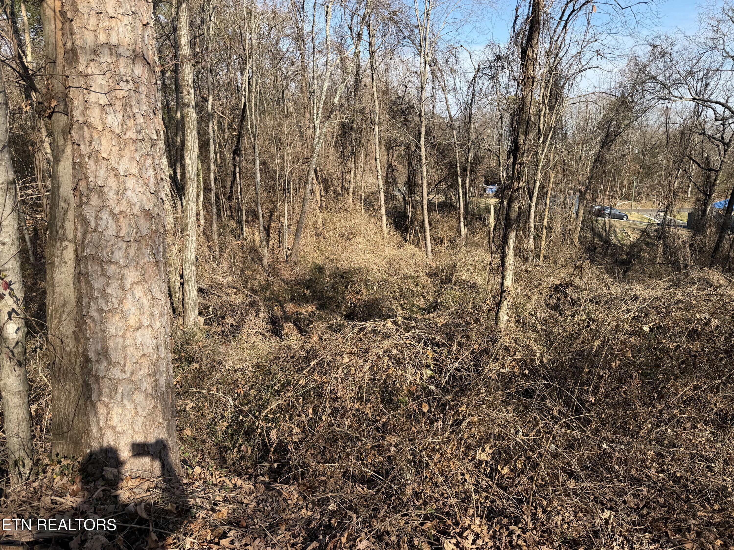 3436 Divide Street Knoxville, TN 37921 - Photo 8 of 23 IMG_0771