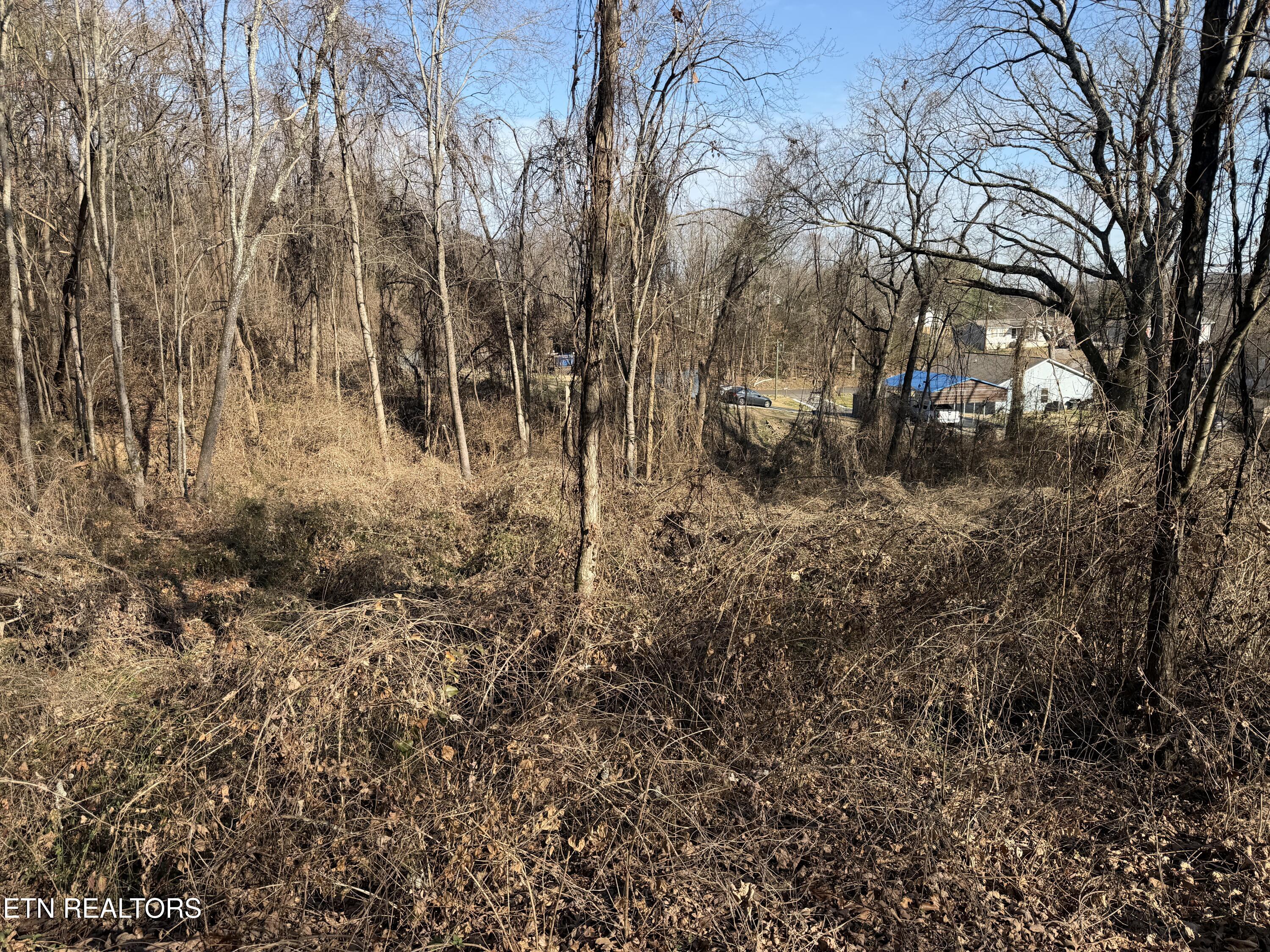 3436 Divide Street Knoxville, TN 37921 - Photo 9 of 23 IMG_0770