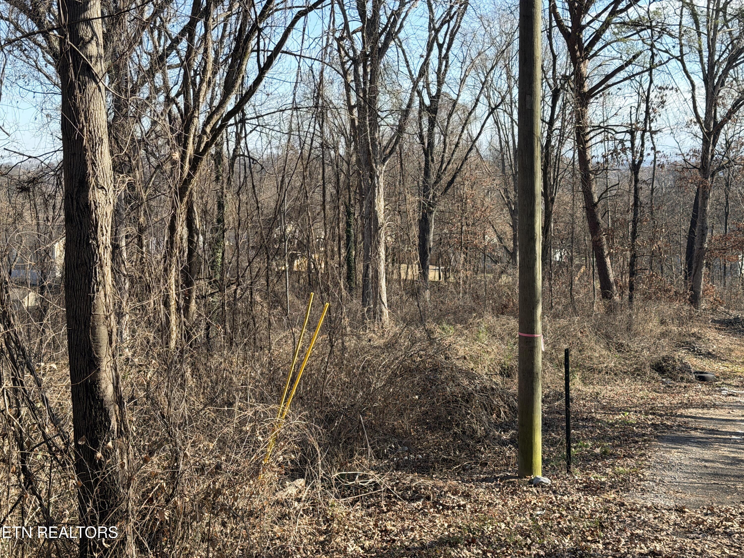 3436 Divide Street Knoxville, TN 37921 - Photo 10 of 23 IMG_0767