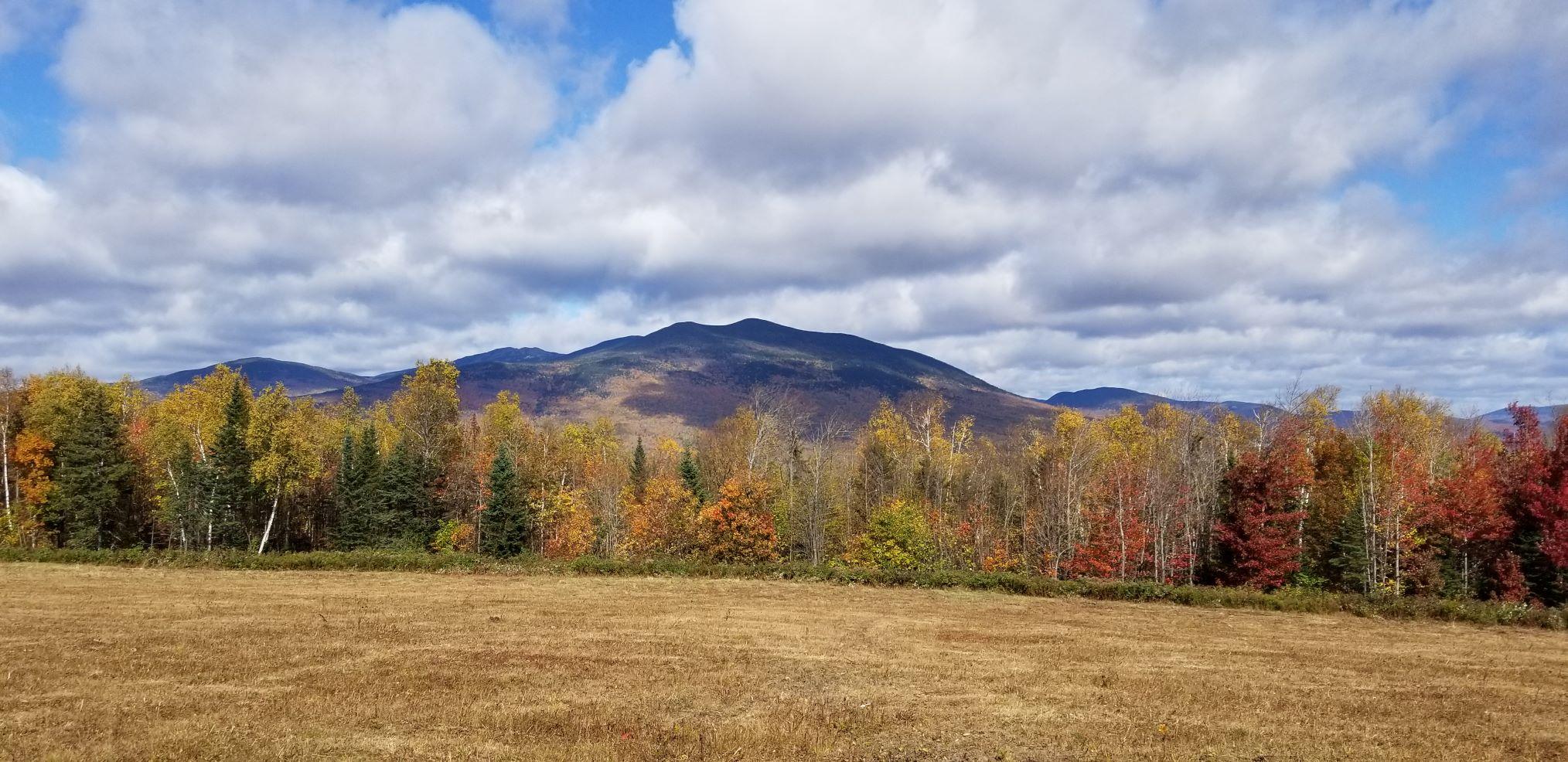 0 Sedgley Road Phillips, ME 04966 - Photo 1 of 1 20201008_114303
