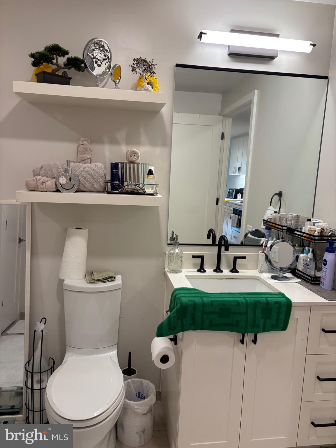 1211 Van Street Southeast, Unit 310 Washington, DC 20003 - Photo 16 of 49 a bathroom with a sink a toilet and a mirror