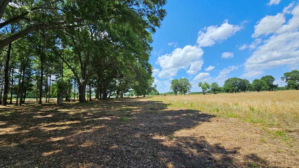 92 County Road 92 Slocomb, AL 36375 - Photo 27 of 58