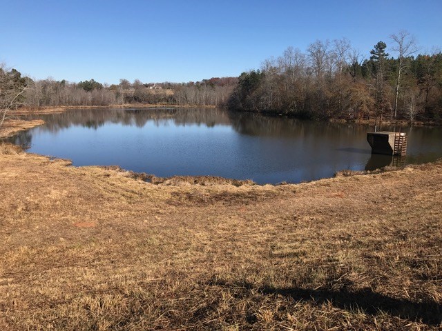 0 Sitton Hill Road Easley, SC 29642 - Photo 3 of 10 Gallery Image 3