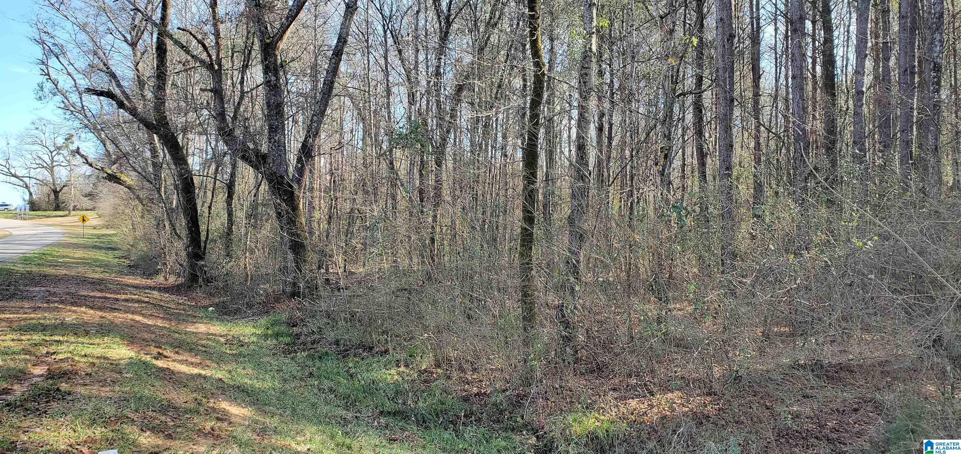 0 County Road 20 Calera, AL 35040 - Photo 3 of 3