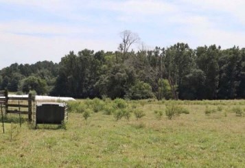 0 Southwest Reeves Station Road Southwest Calhoun, GA 30701 - Photo 2 of 8 Gallery Image 2