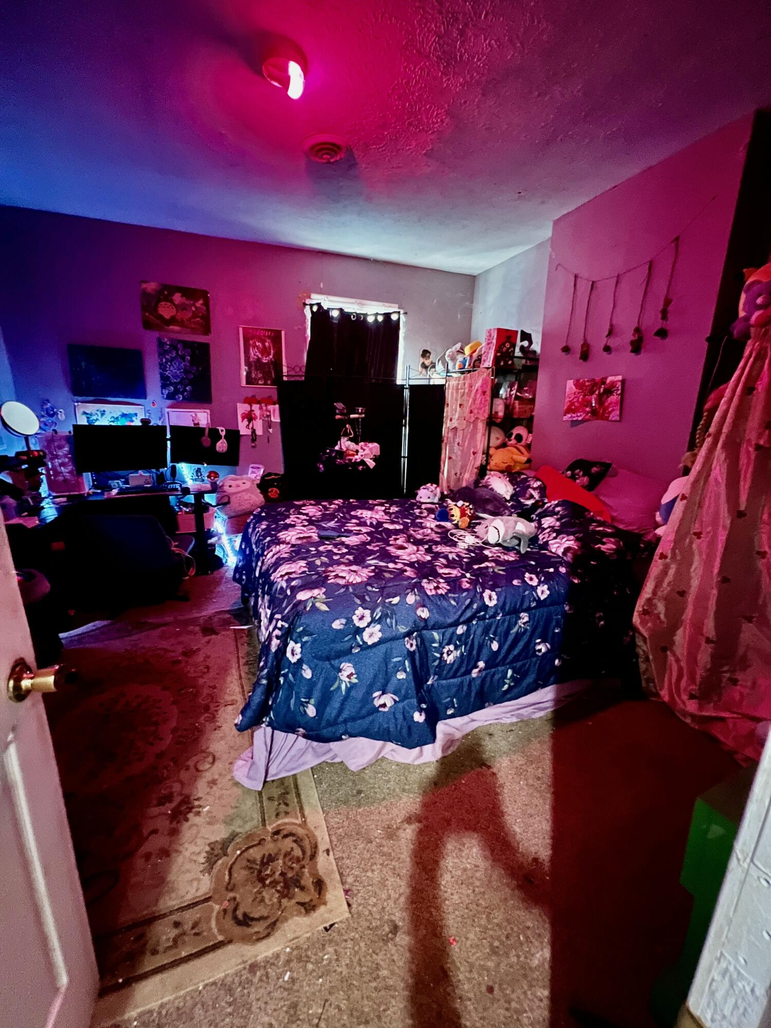 333 Ohio Street Lexington, KY 40508 - Photo 5 of 7 tempImage4c2kQj