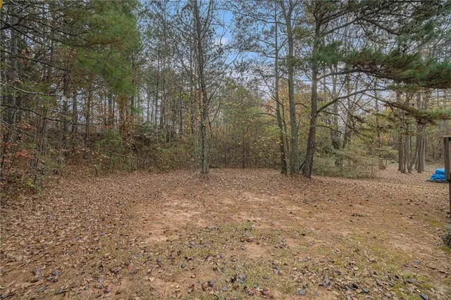 a view of a forest with trees in the background