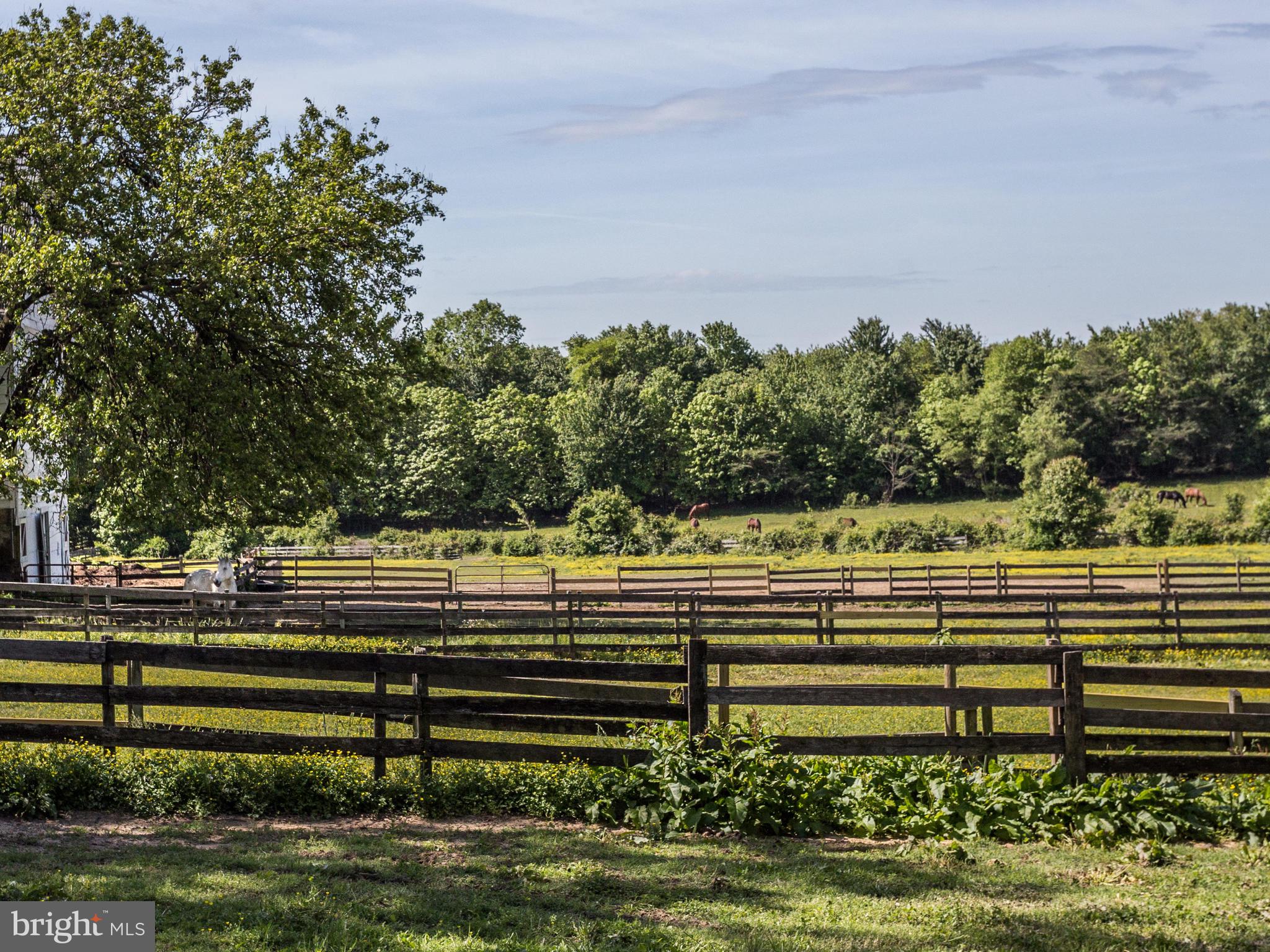 115 Sycamore Road Linthicum, MD 21090 - Photo 40 of 49 Morningside Stables-boarding for horses