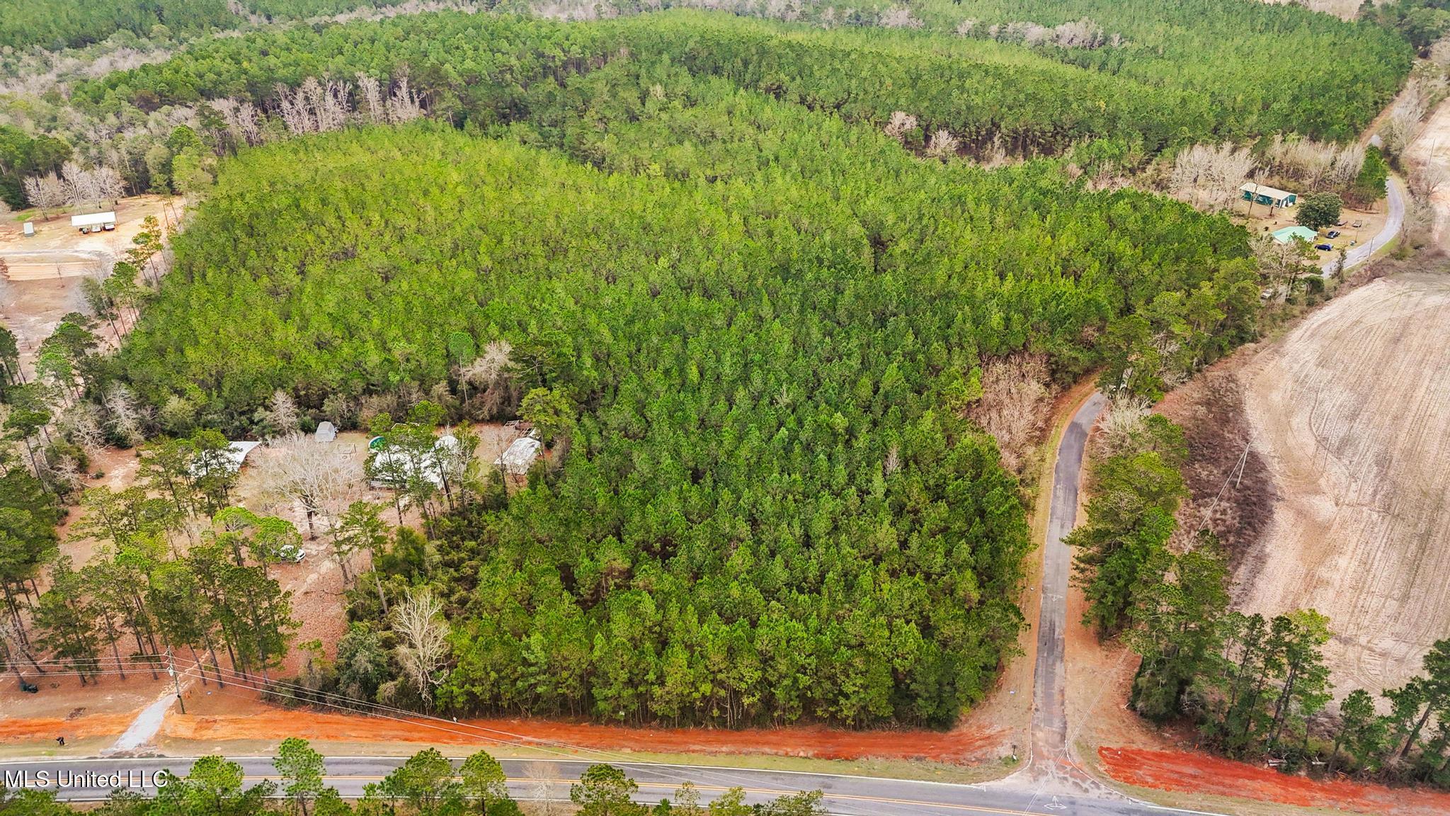 63n & Fork Road Lucedale, MS 39452 - Photo 1 of 18 89ac