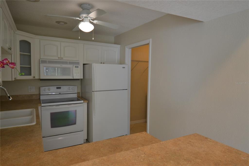 605 Lennox Road West Palm Harbor, FL 34683 - Photo 7 of 37