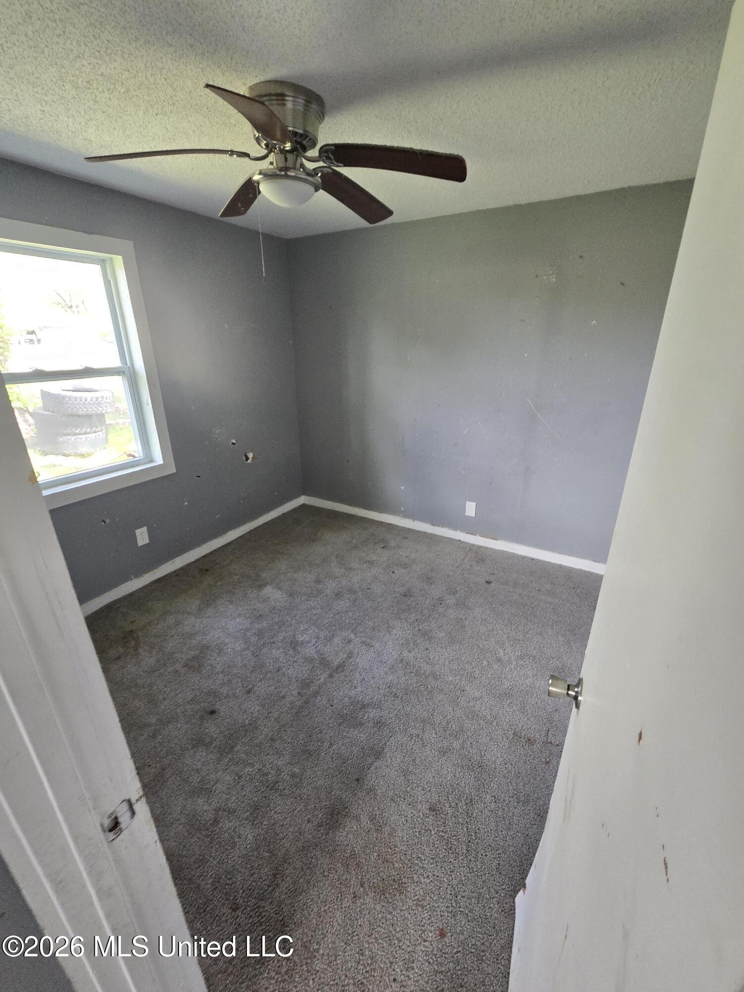 246 Anderson Road Coldwater, MS 38618 - Photo 12 of 17 1000006586