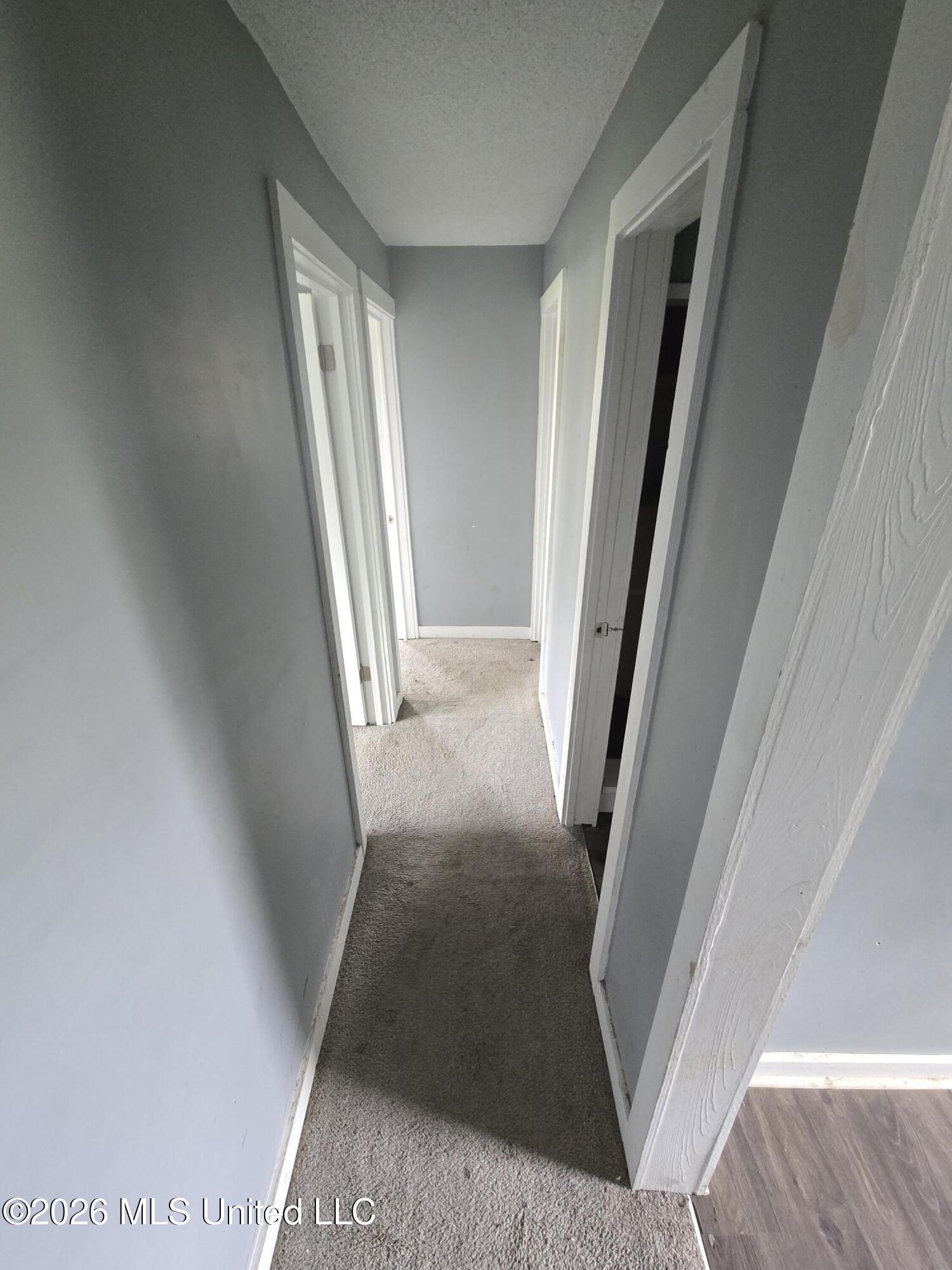 246 Anderson Road Coldwater, MS 38618 - Photo 10 of 17 1000006593