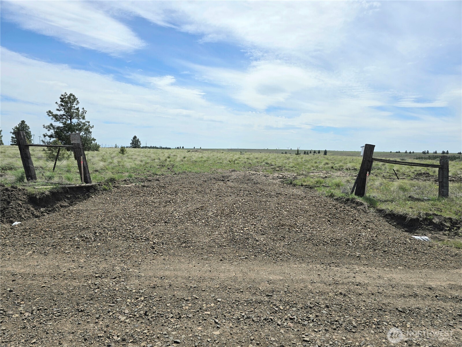 a view of a yard with wooden fence