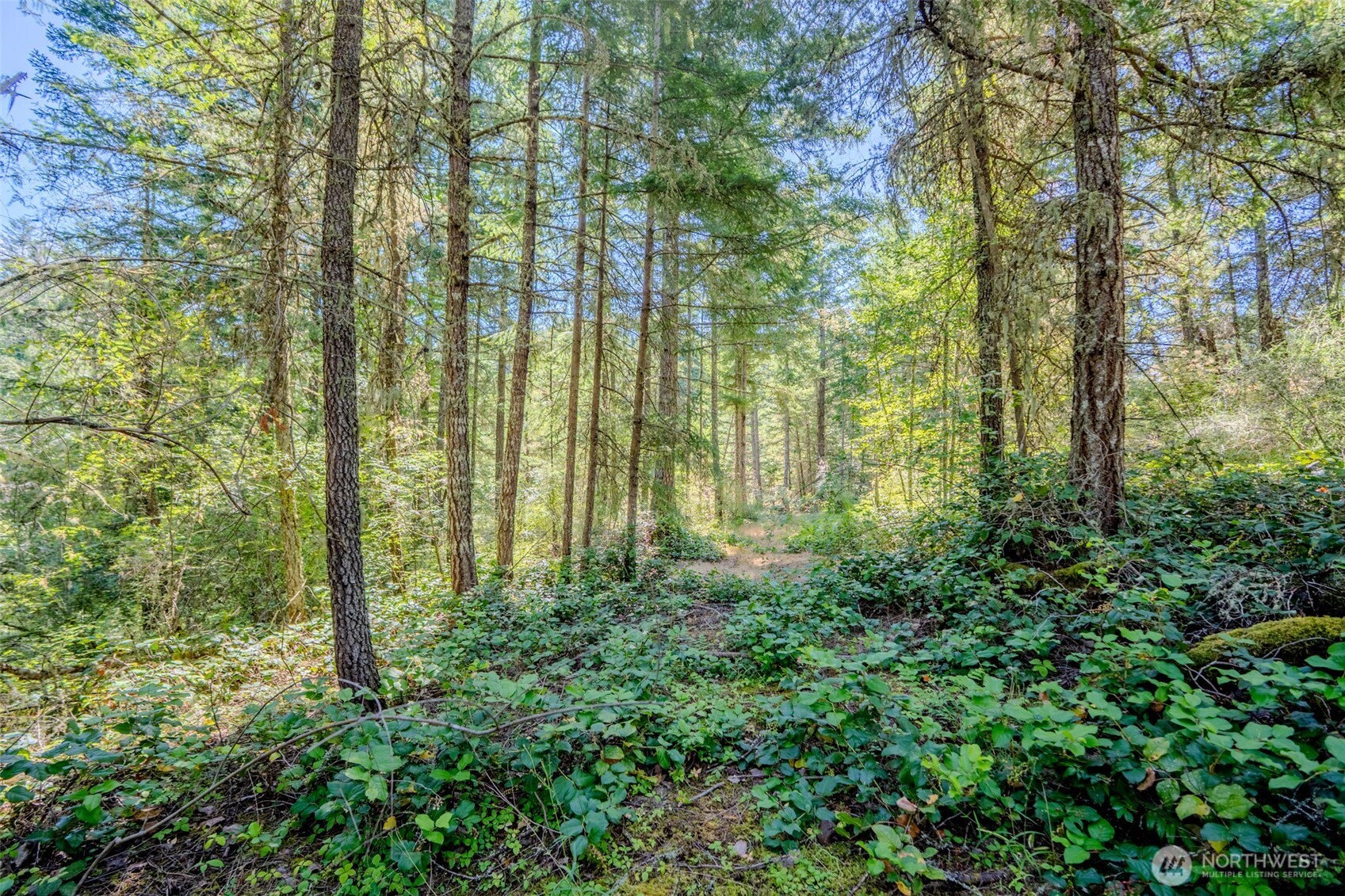 678 Swan Road Orcas Island, WA 98245 - Photo 3 of 39