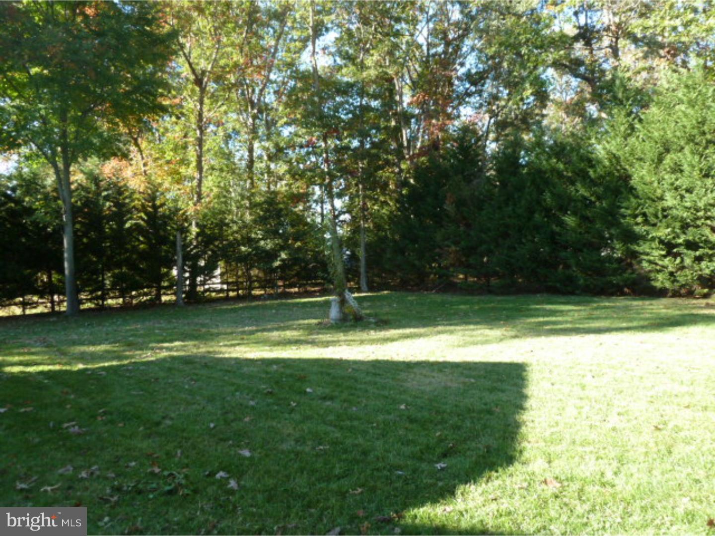 103 Treetop Road Harrington, DE 19952 - Photo 5 of 25 Back Yard
