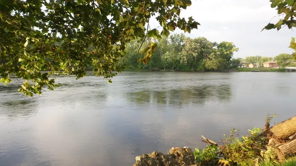 $40,000 | 265 West Water Street, Constantine, MI 49042